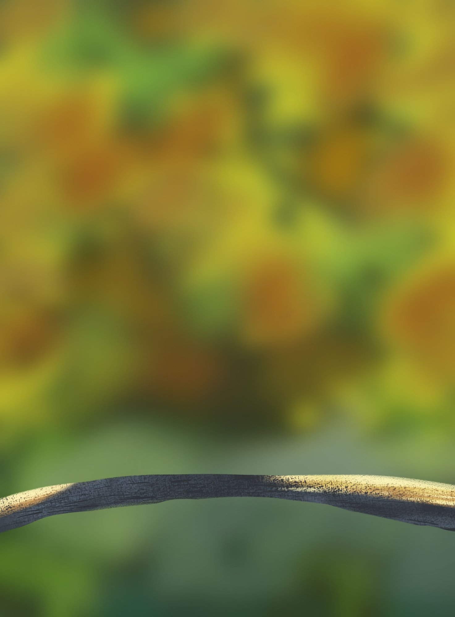 DPS Prog-1-1-Exercice5-Oiseau-Commencement.jpg