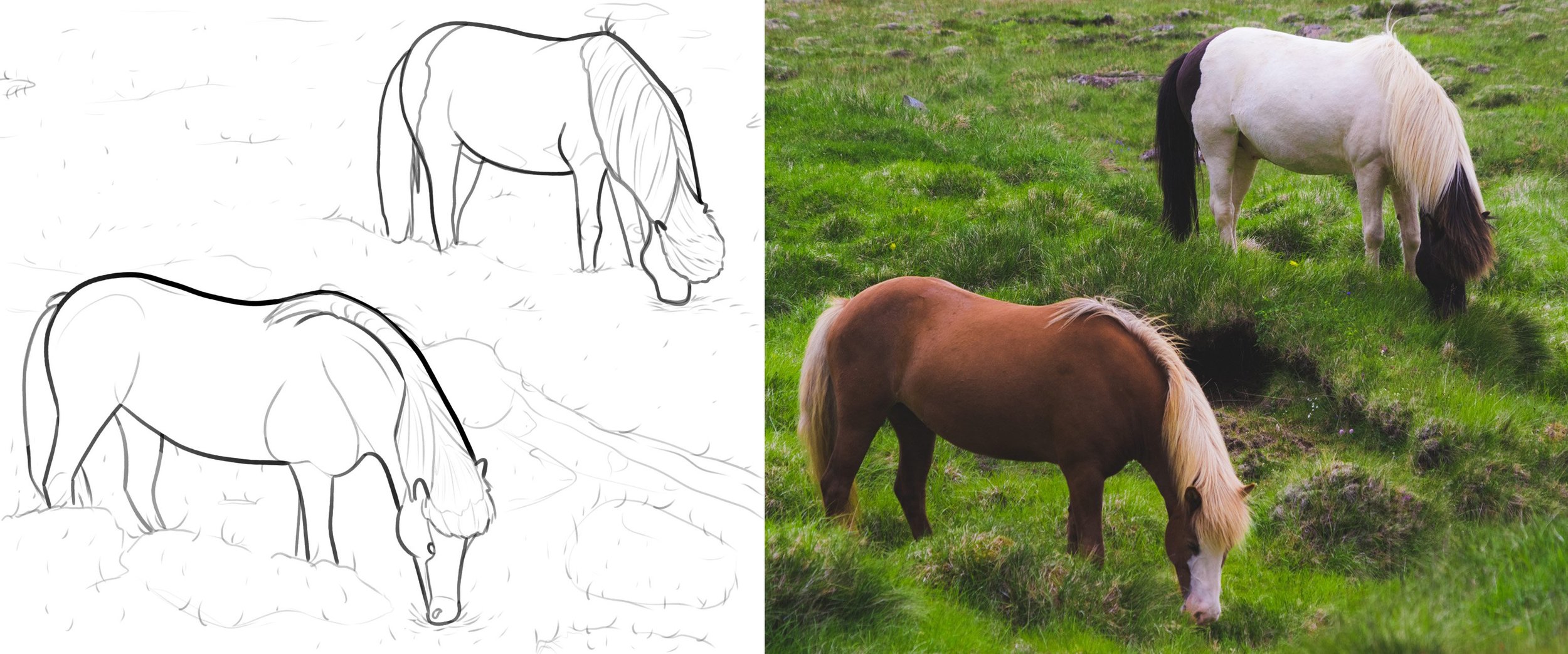 chevaux croquis.jpg