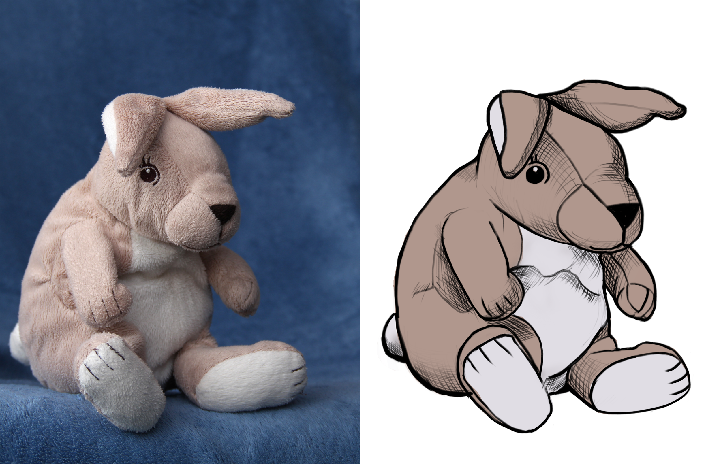 croquis lapinoucomparatif.png