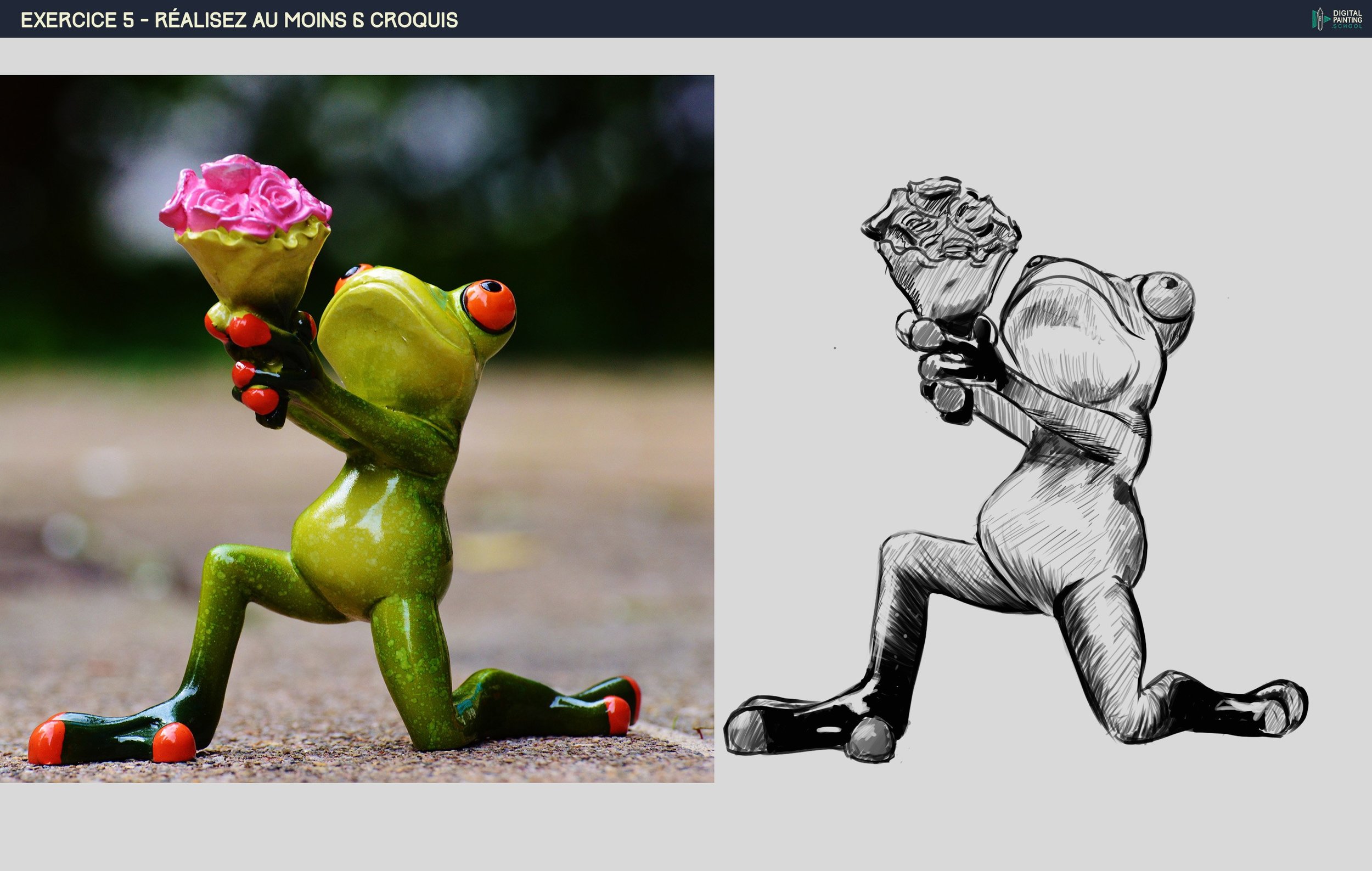 DPS-Prog-1-2-exercice5 grenouille.jpg
