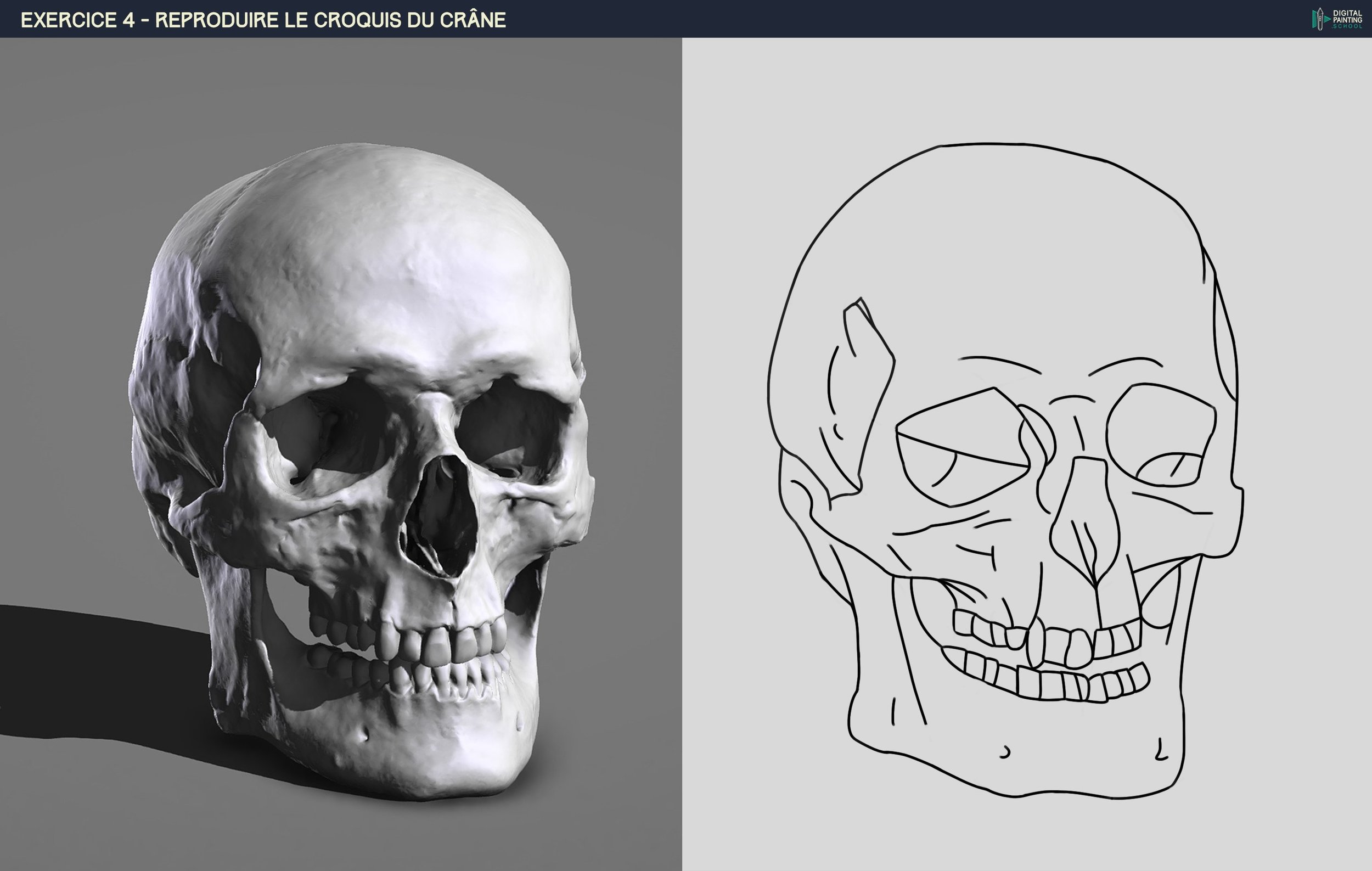 croquis crane V1 copie.jpg