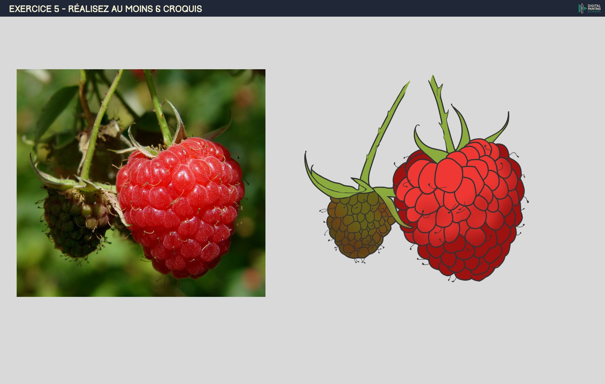 DPS-Prog-1-2-exercice5 framboise couleur.jpg