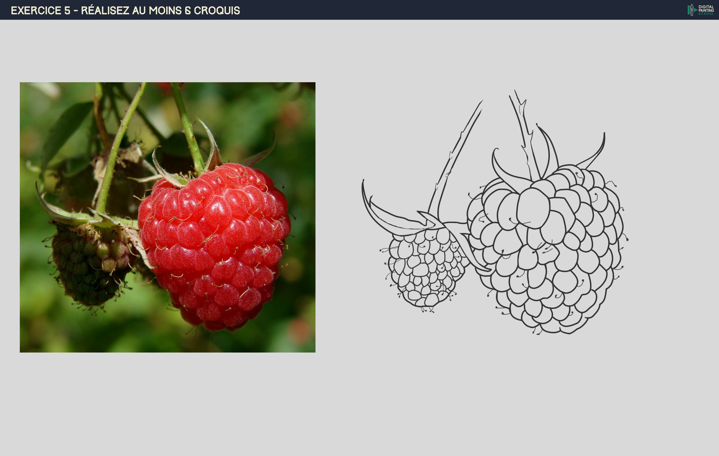 DPS-Prog-1-2-exercice5 framboise noir-blanc.jpg