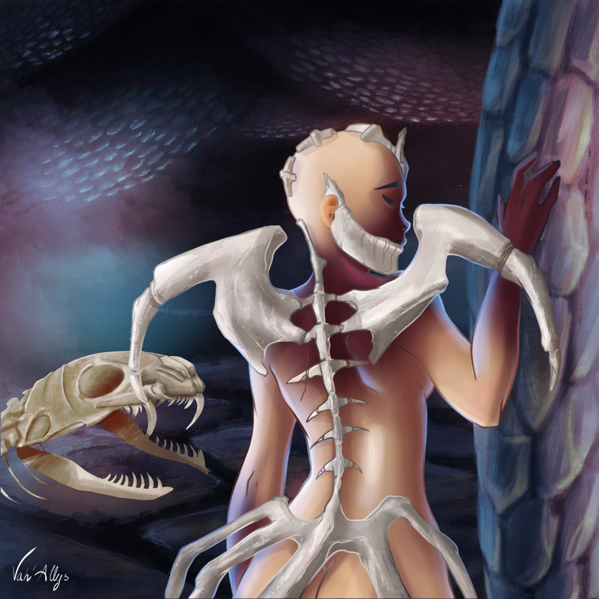 Exosquelette + crâne.png