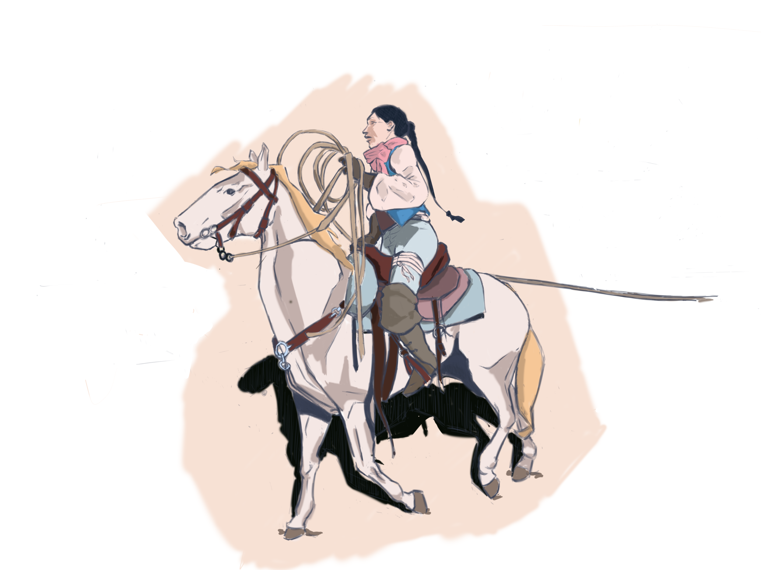 Test_cavalière-v1 - accessoires.png