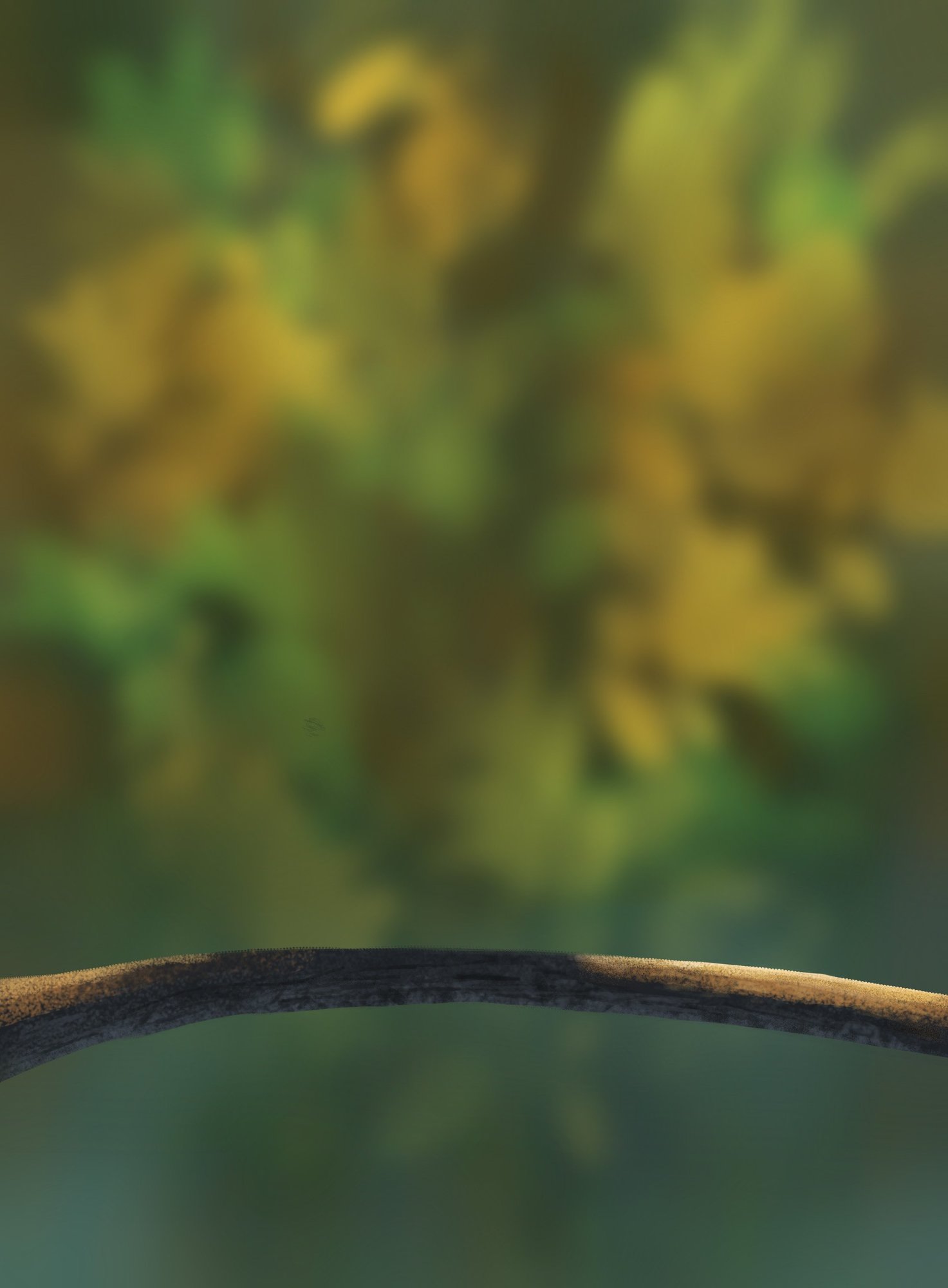 DPS Prog-1-1-Exercice5-Oiseau-Commencement.jpg