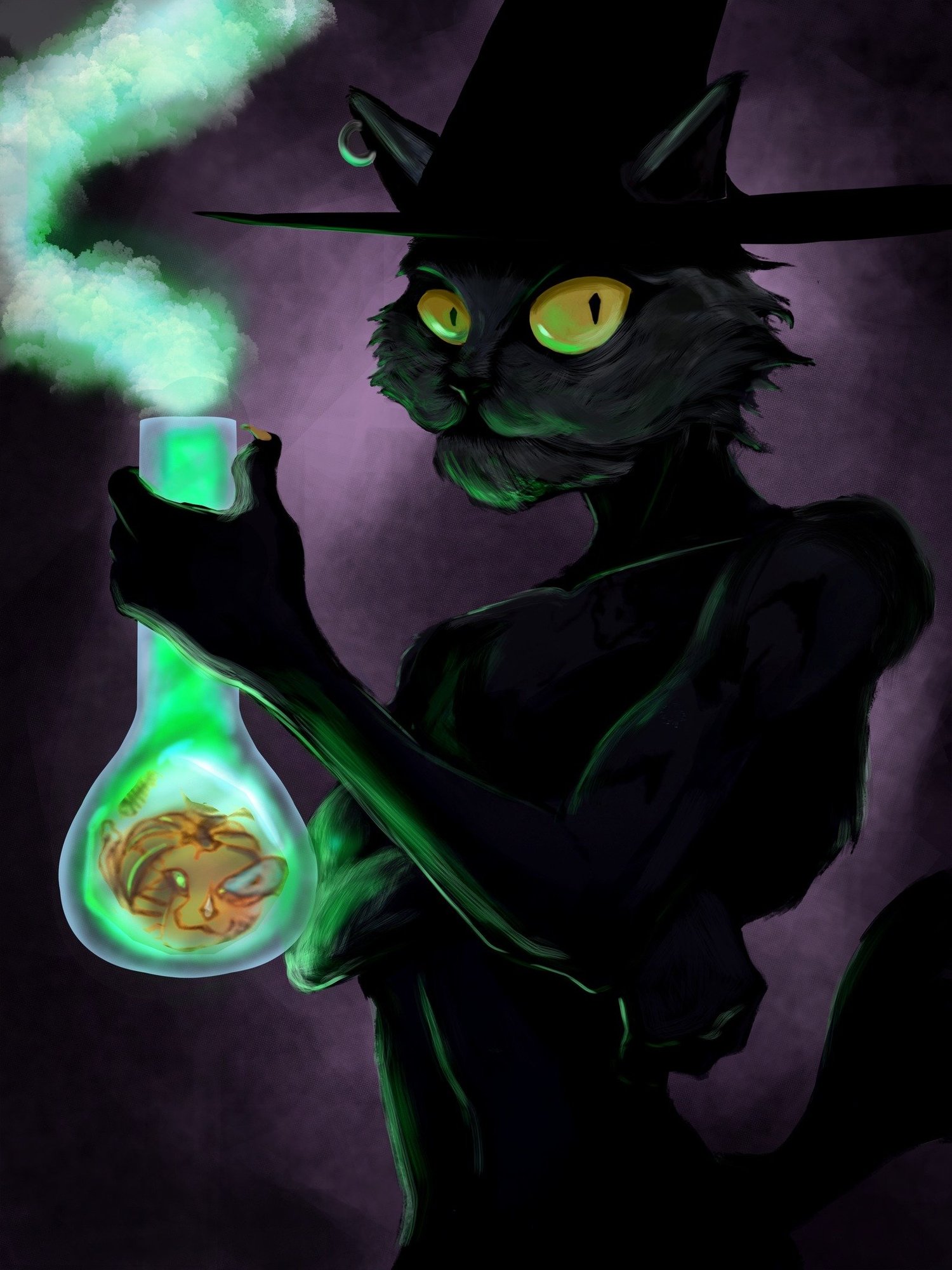 chat d'halloween FINAL (réduit pour le net).jpg