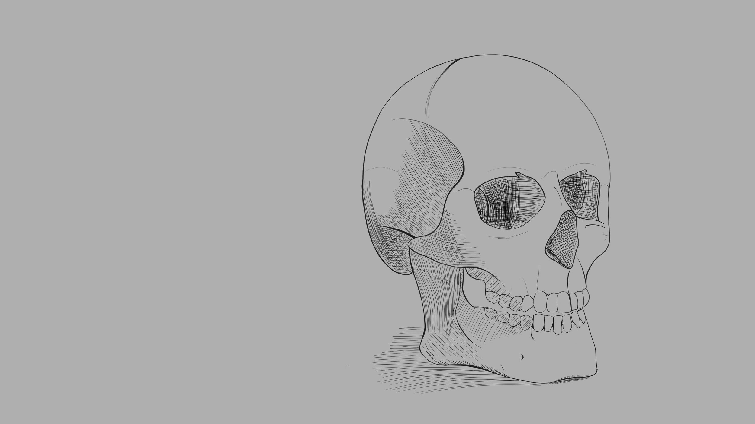 Skull final.jpg
