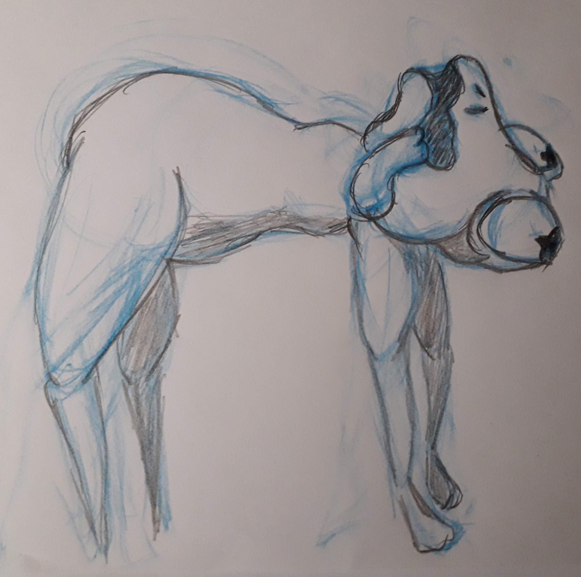 CROQUIS BEBE GRENOUILLE.jpg