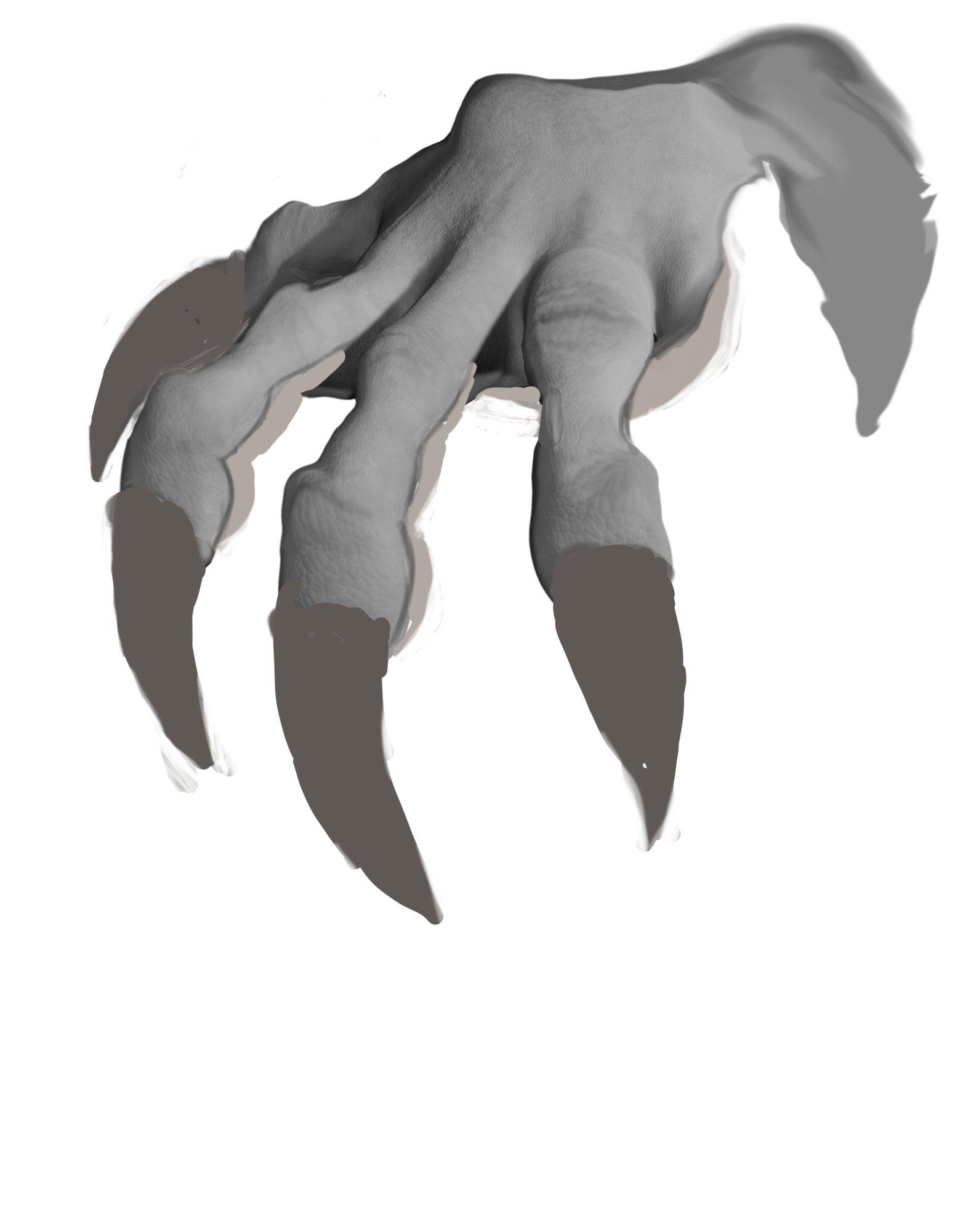 GRIFFE DRAGON avant écailles.jpg