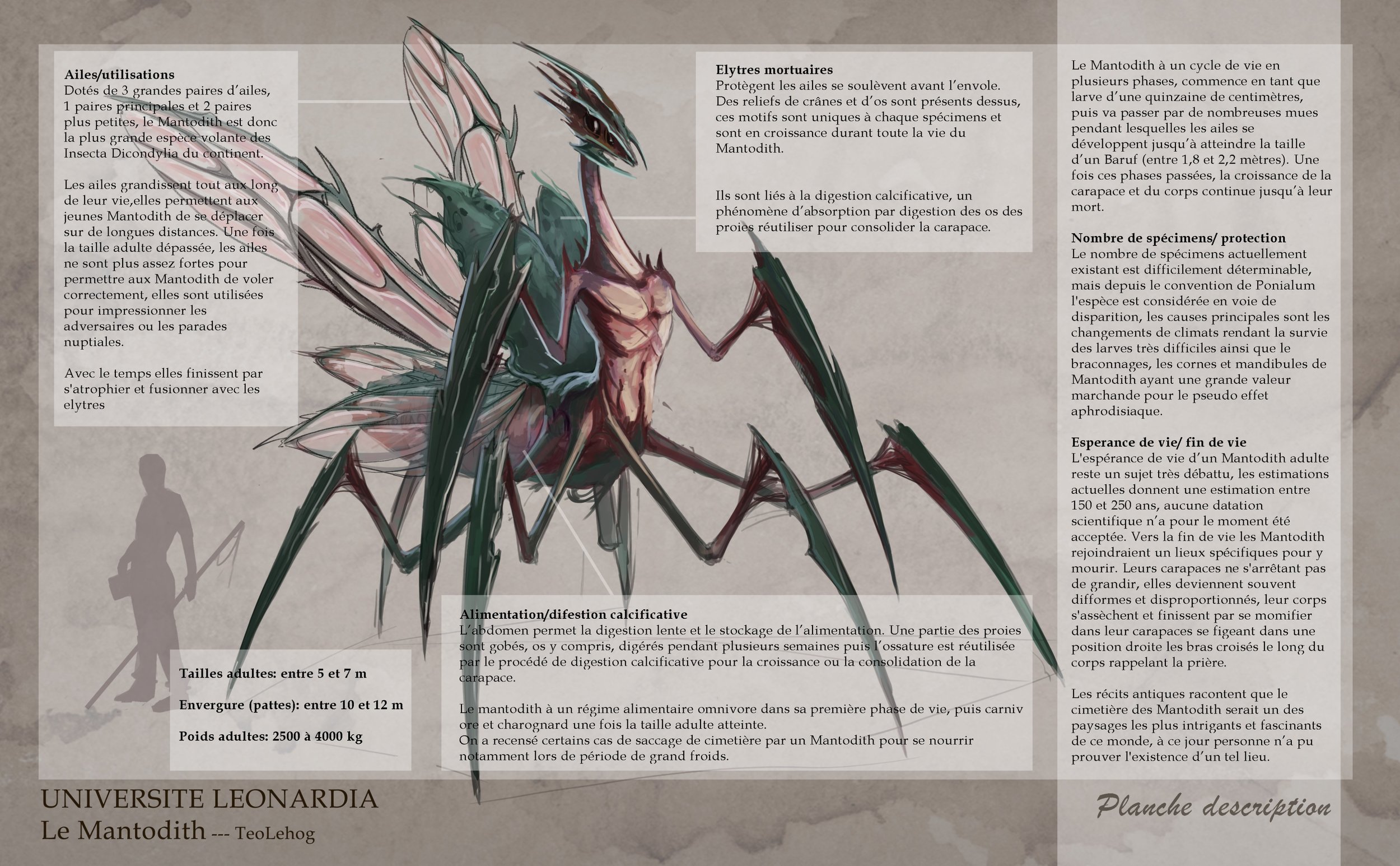 Mantodith Planches description.jpg