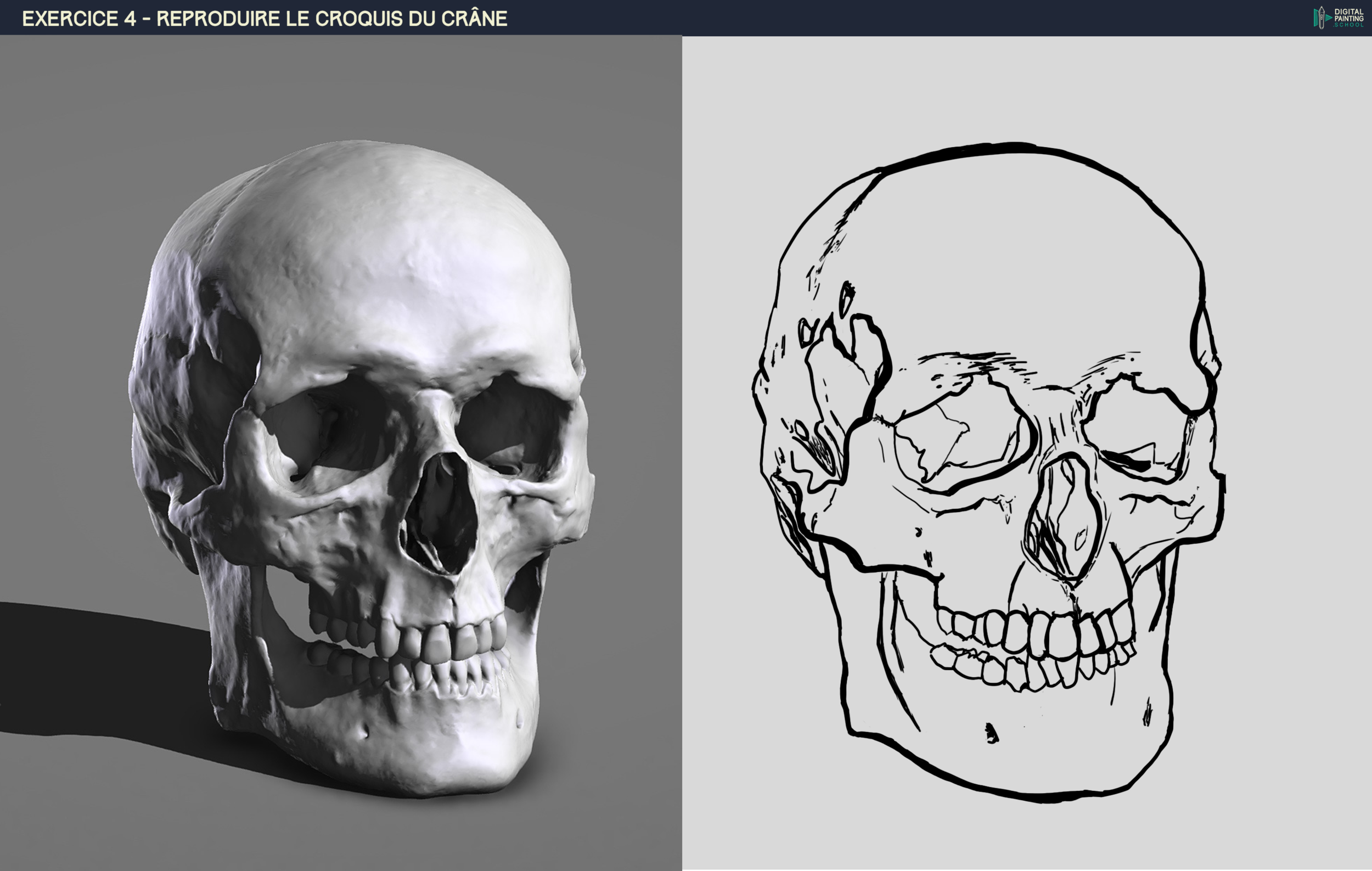 DPS-Prog-1-2-2-démo-crane-croquis skorly 2eme tentative.png