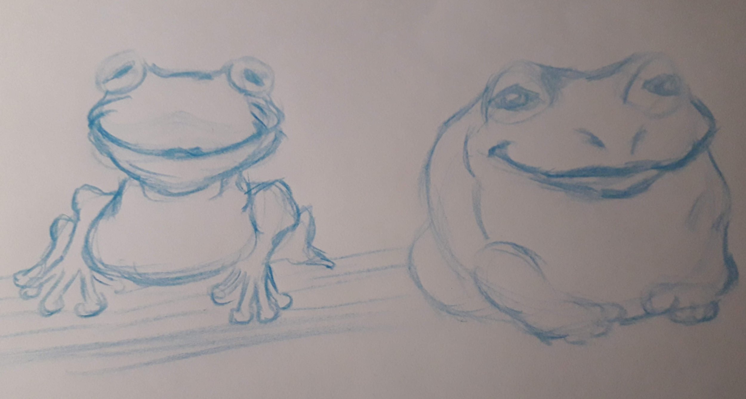 CROQUIS PARENTS GRENOUILLES.jpg