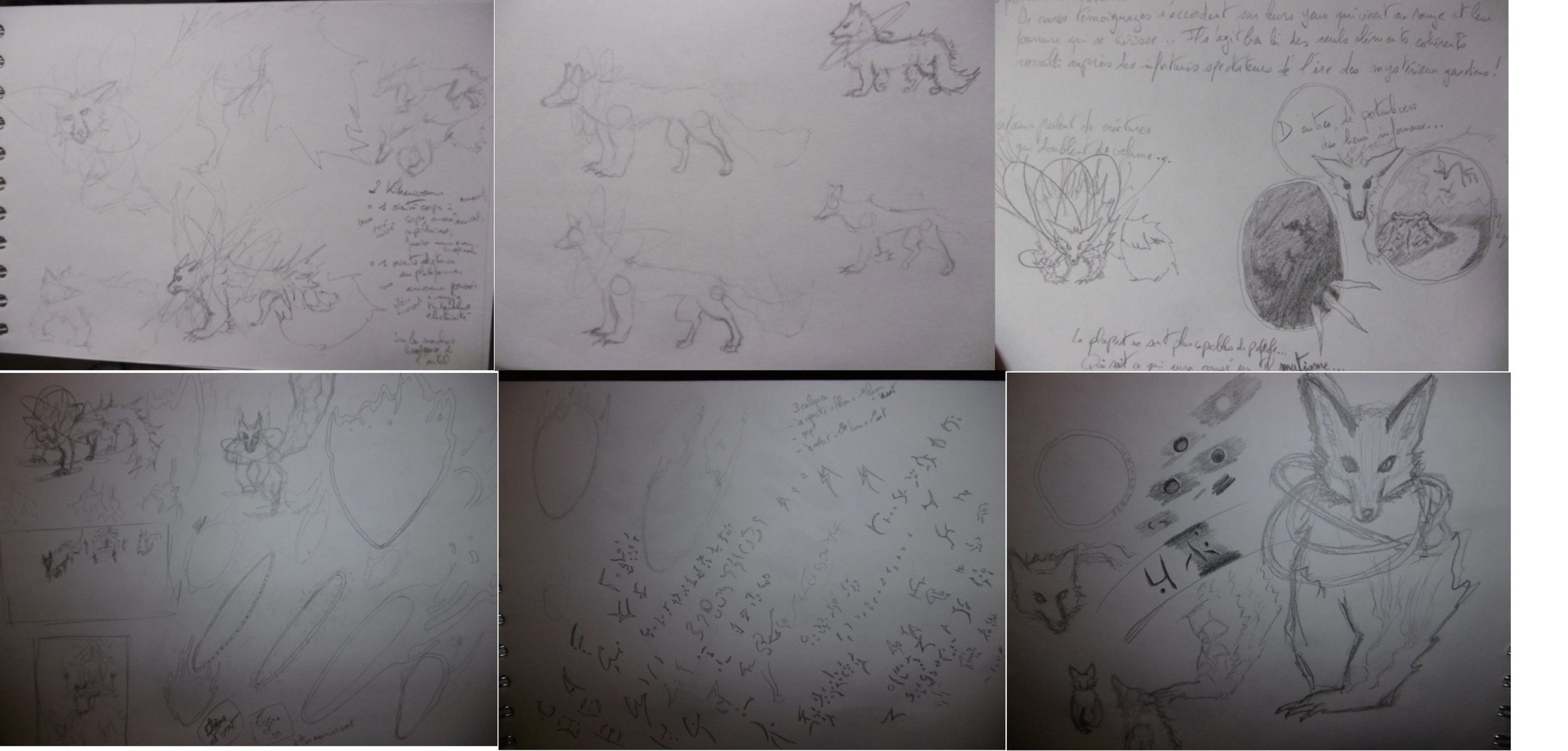 Recherches papier.jpg