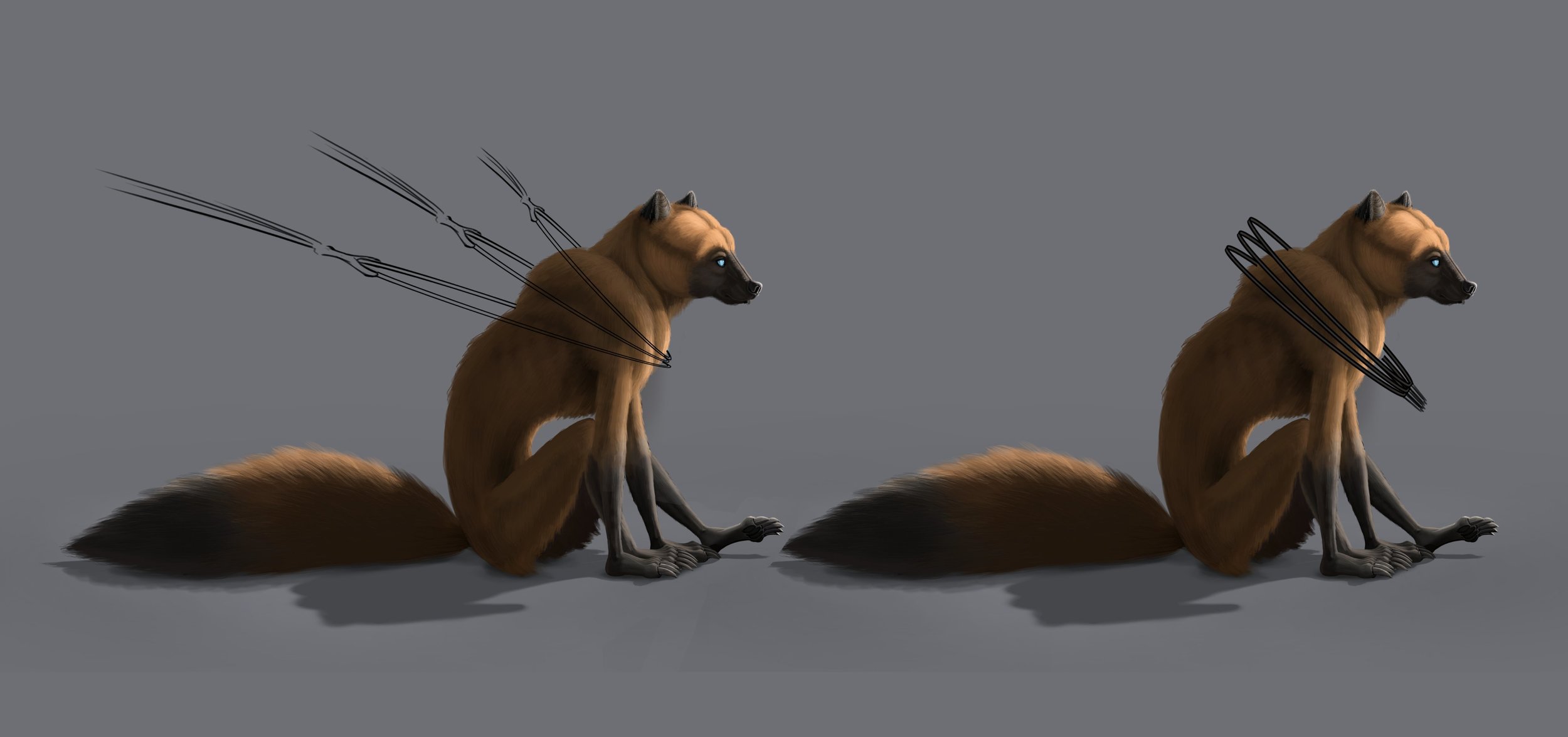 croquis 5 croquis.jpg