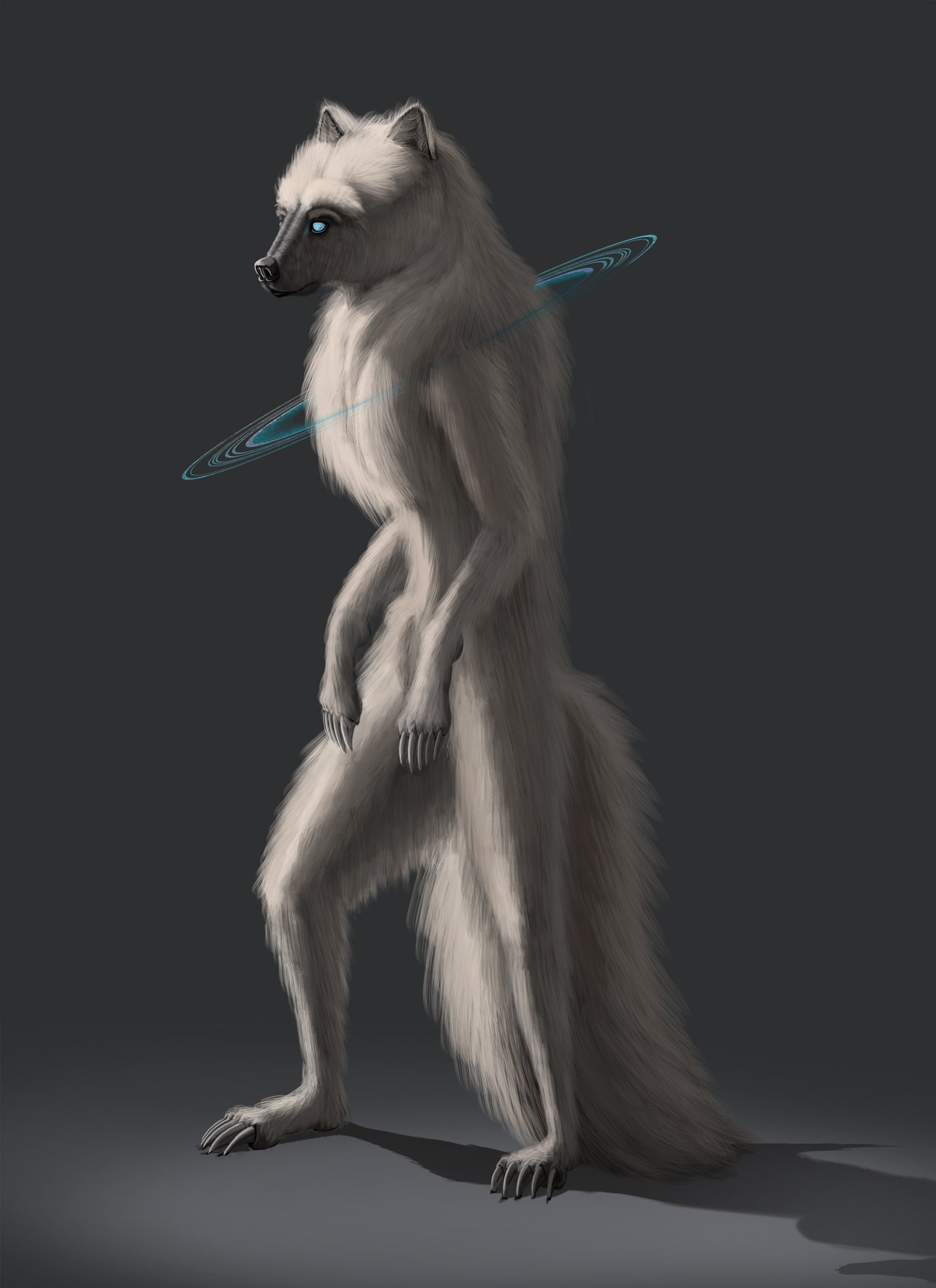 croquis 12 blanc.jpg