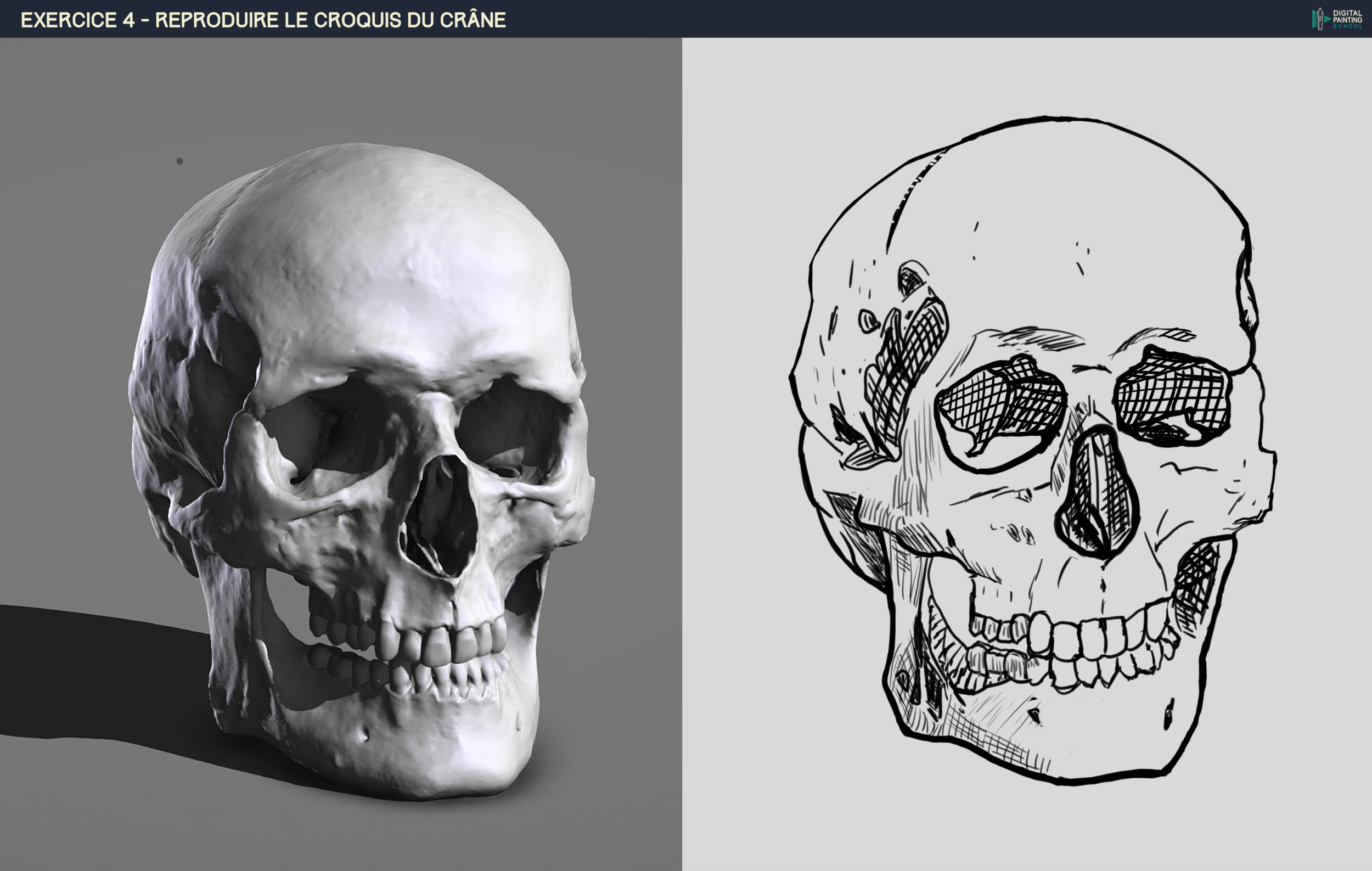 DPS-Prog-1-2-2-démo-crane-croquis v3.png