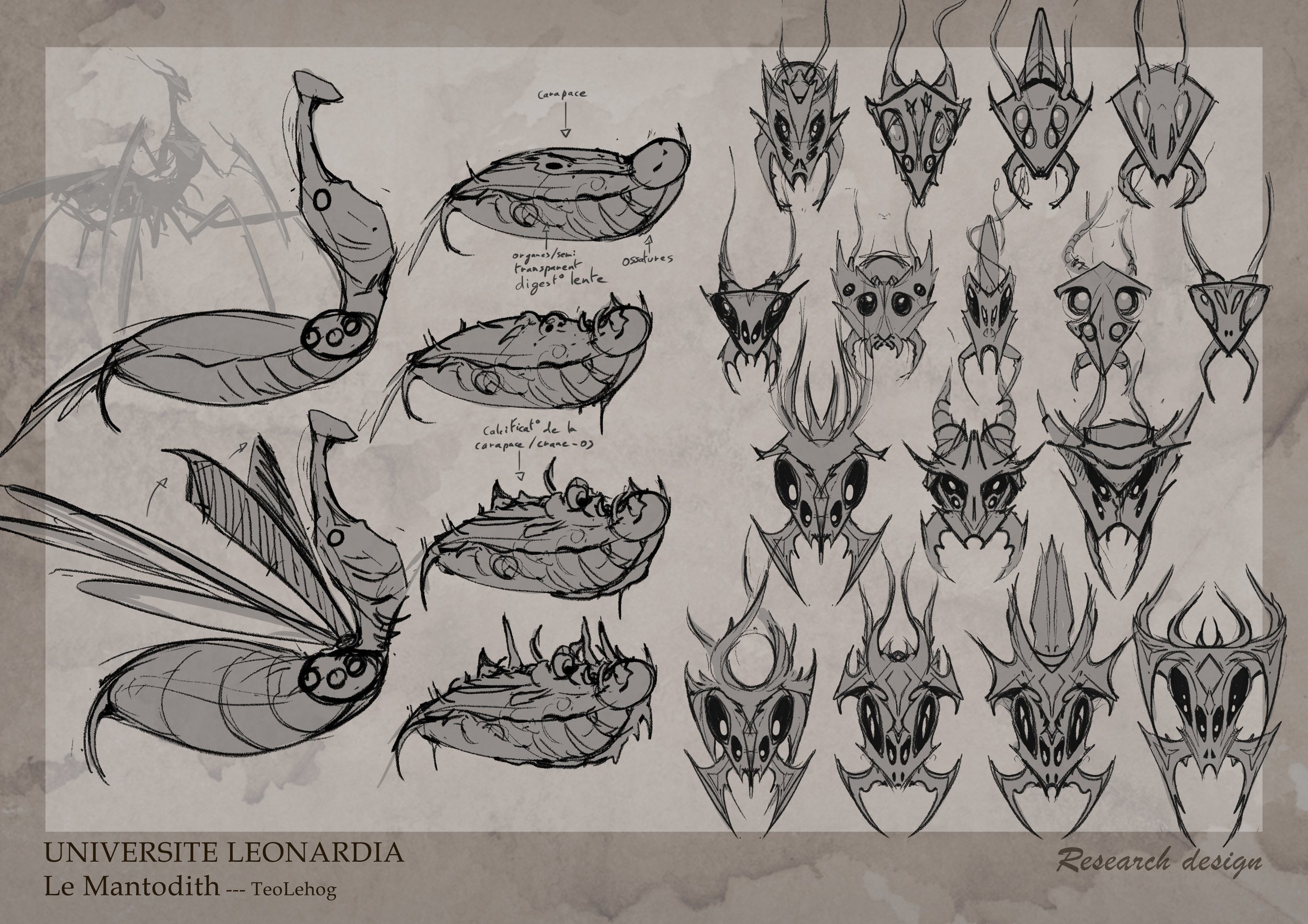 Mantodith Research design.jpg