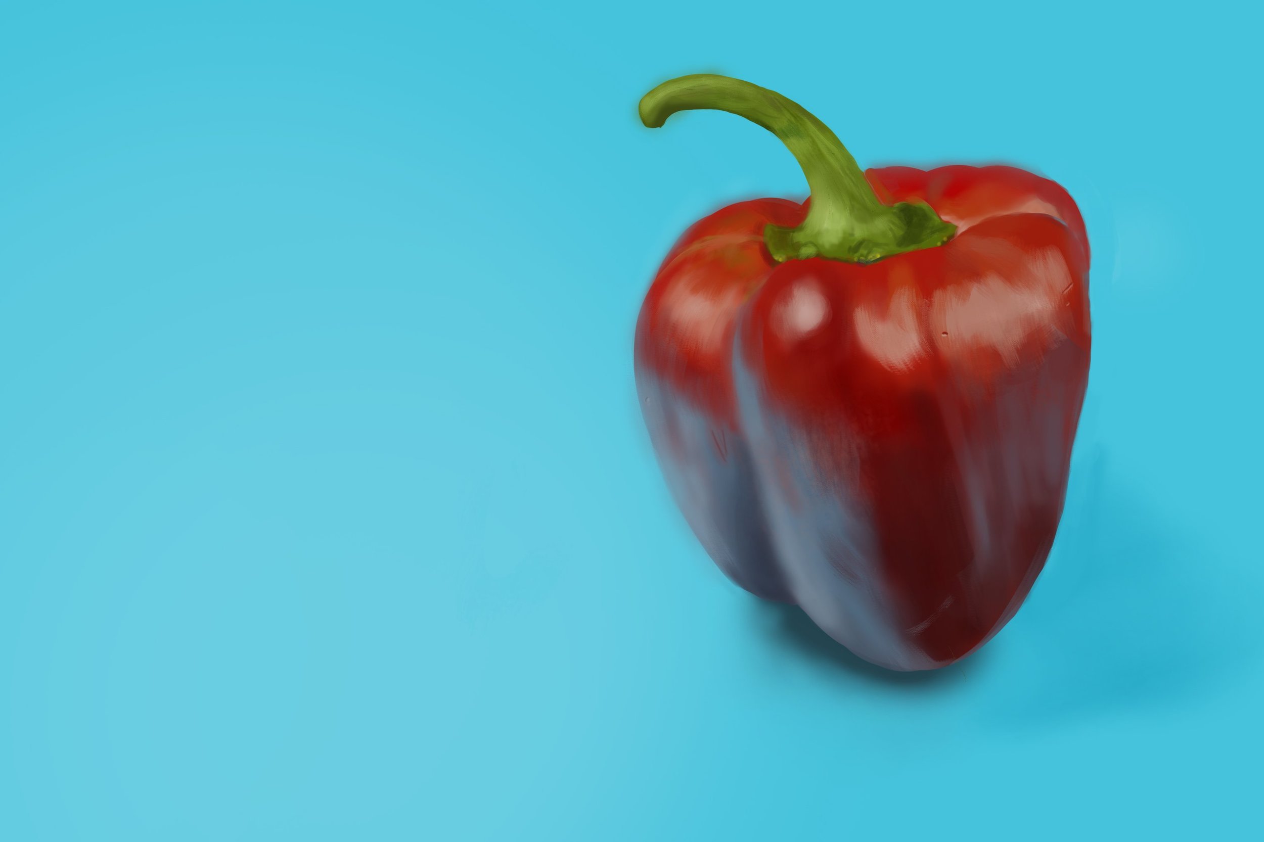 Exercice4-etude-photo1 copie 2.jpg