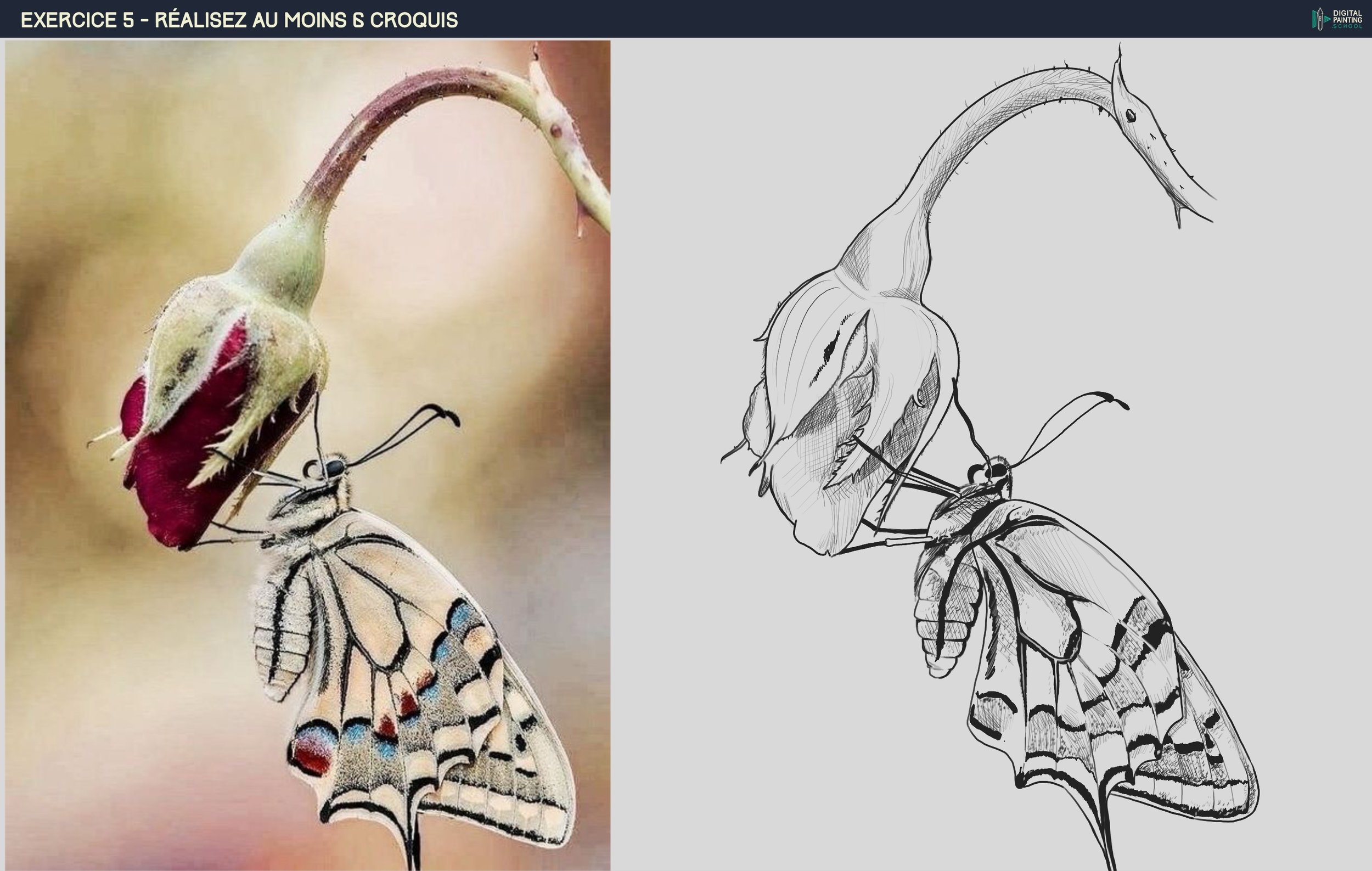 Exercice 5 étude 6 (2).jpg