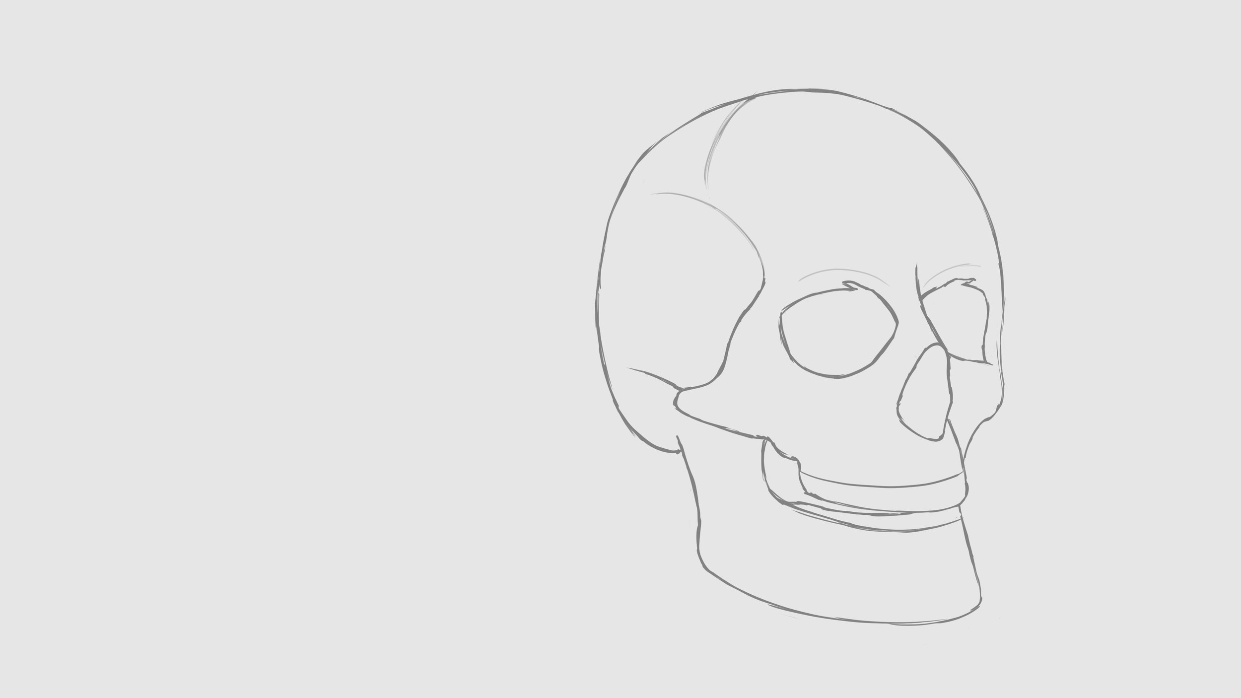 Skull croquis simple.jpg