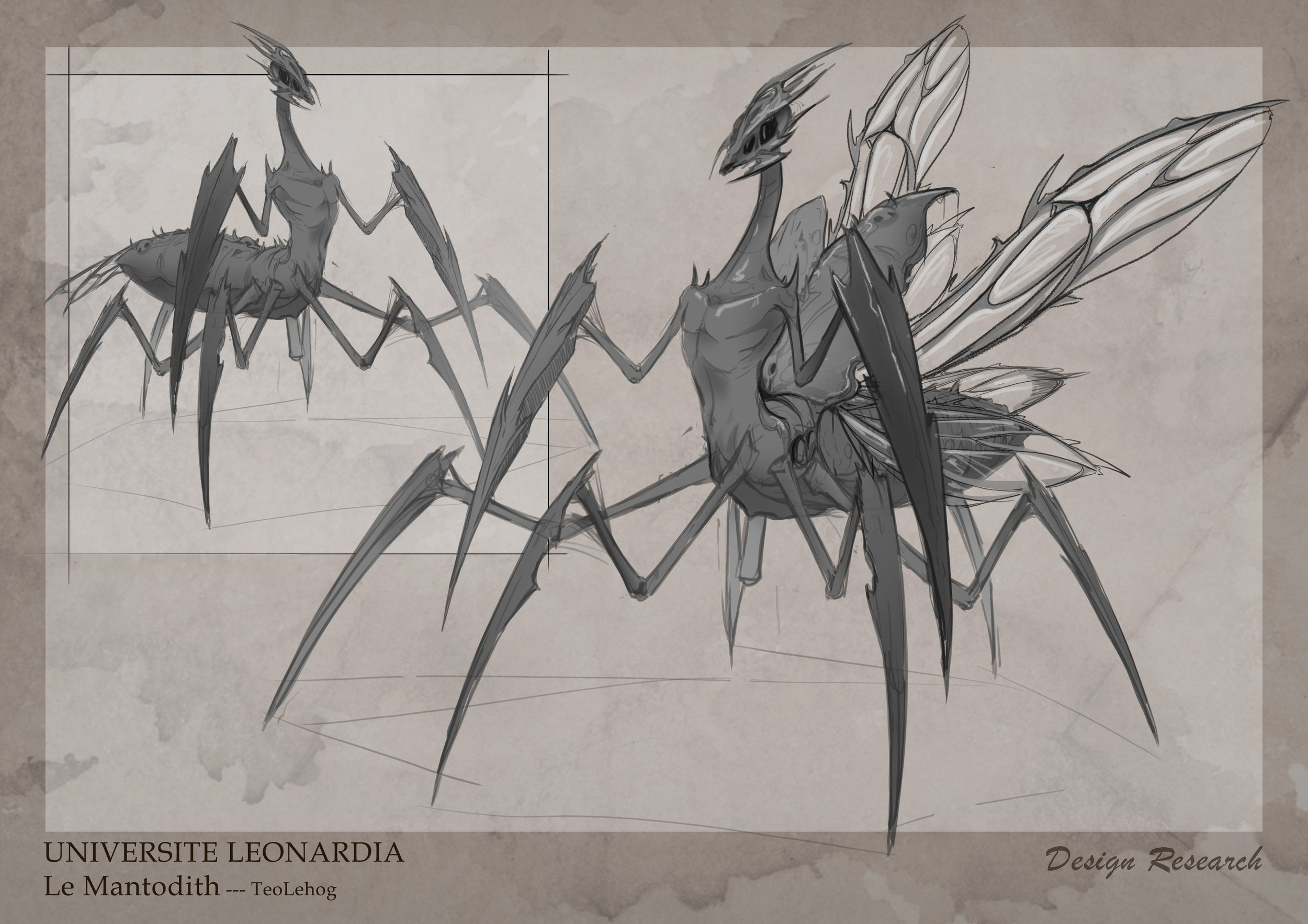 Mantodith Research Ailes.jpg