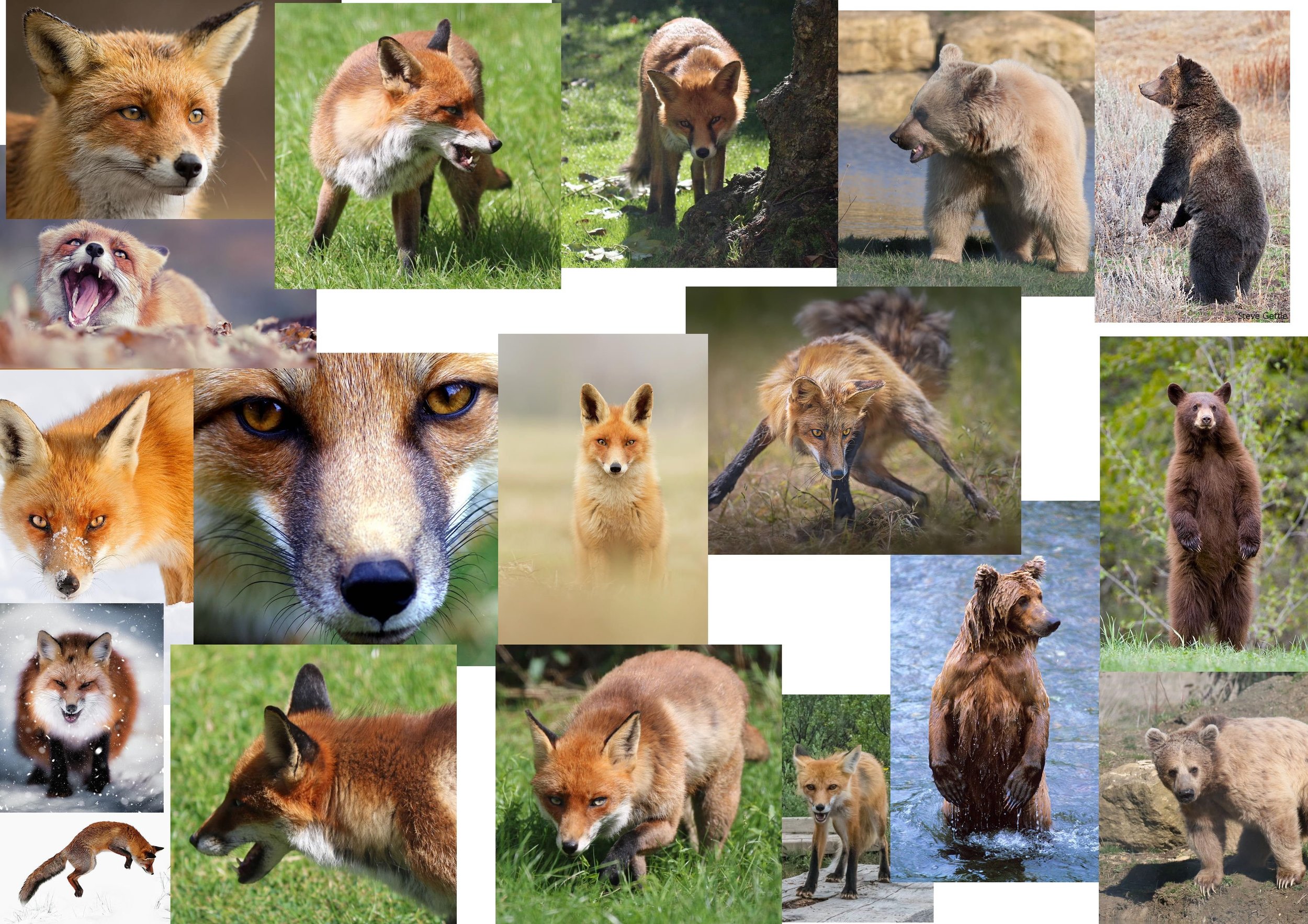 Principales réf.jpg