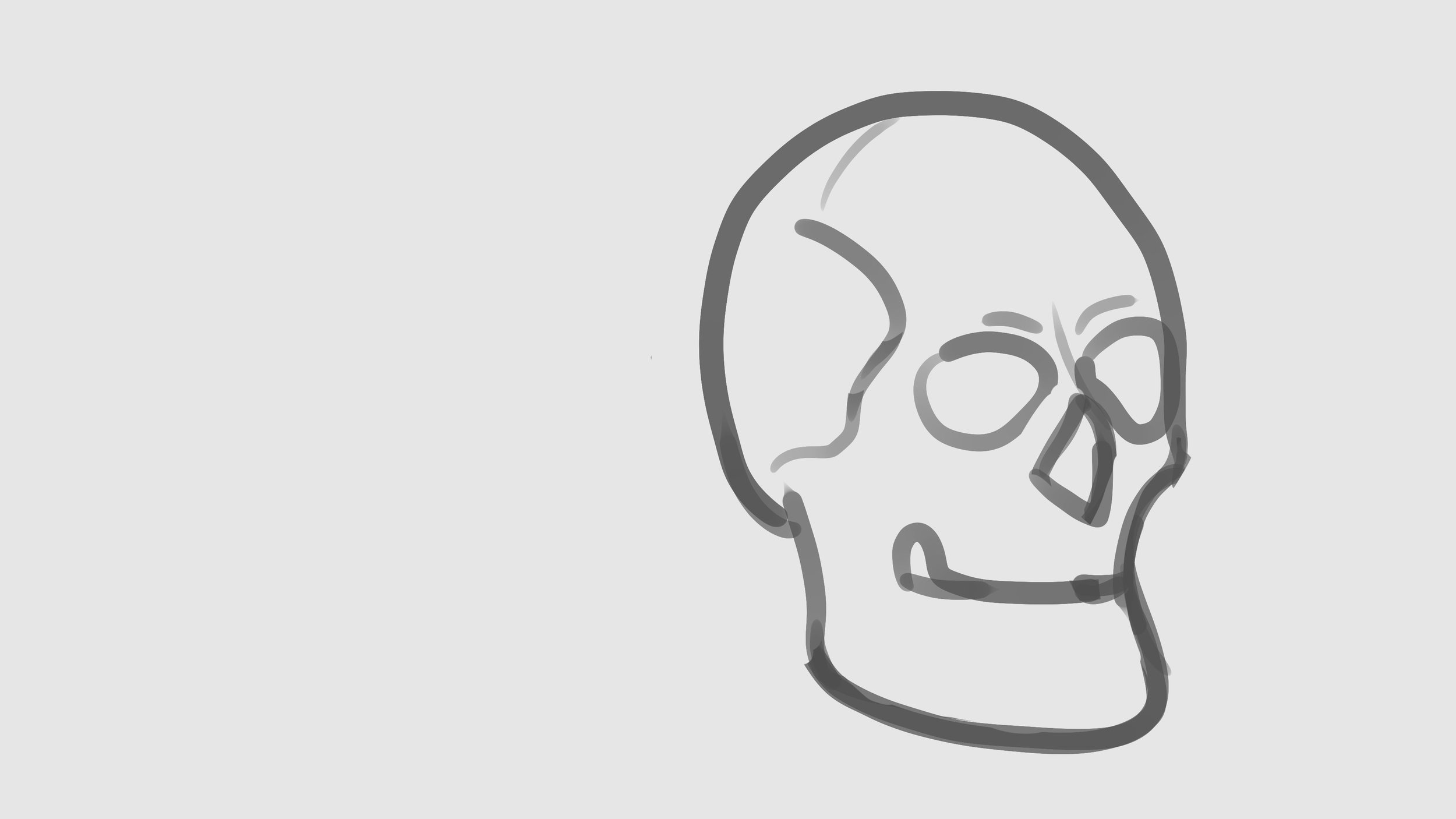 Skull croquis base.jpg