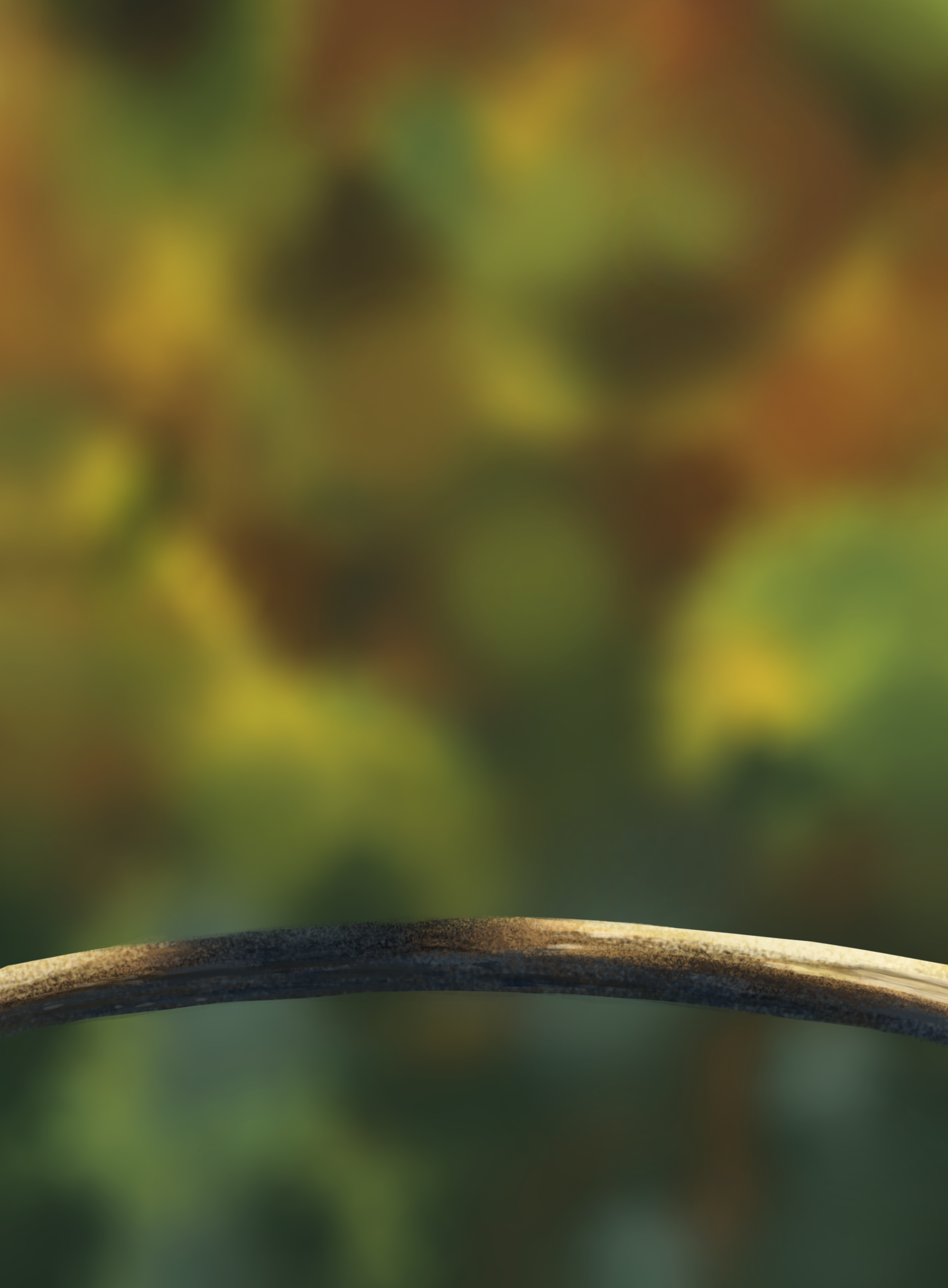 DPS Prog-1-1-Exercice5-Oiseau-Commencement.png