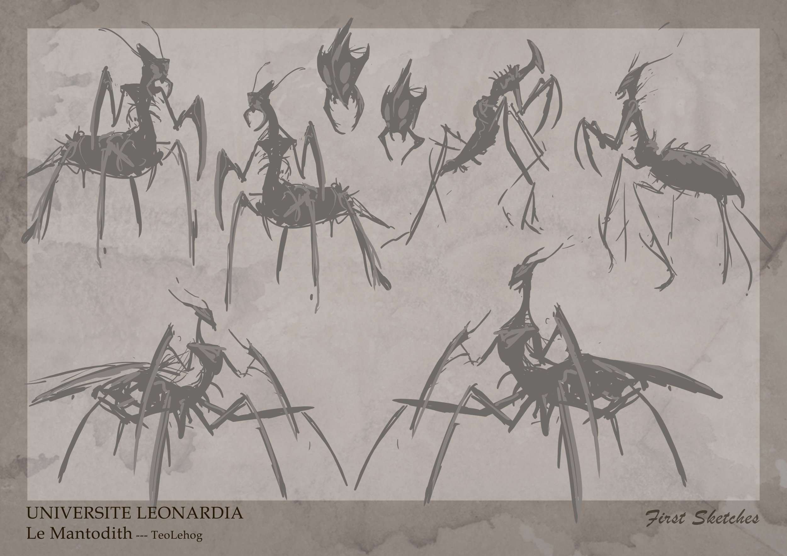 Mantodith first Sketches.jpg