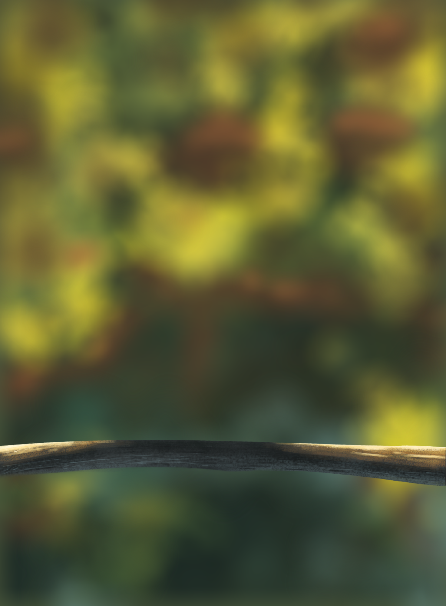 DPS Prog-1-1-Exercice5-Oiseau-Commencement.png