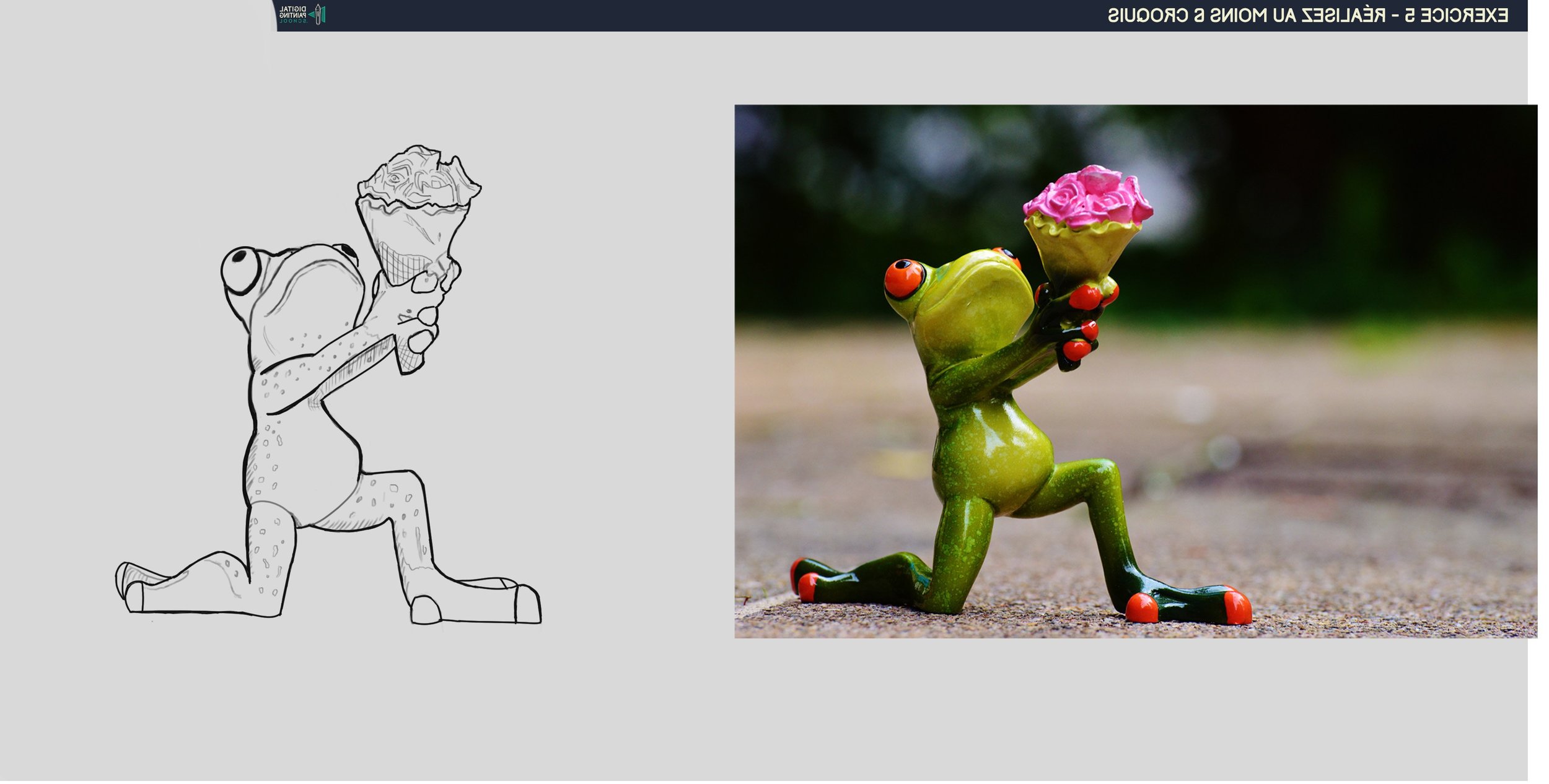 Croquis 2 grenouille.jpg