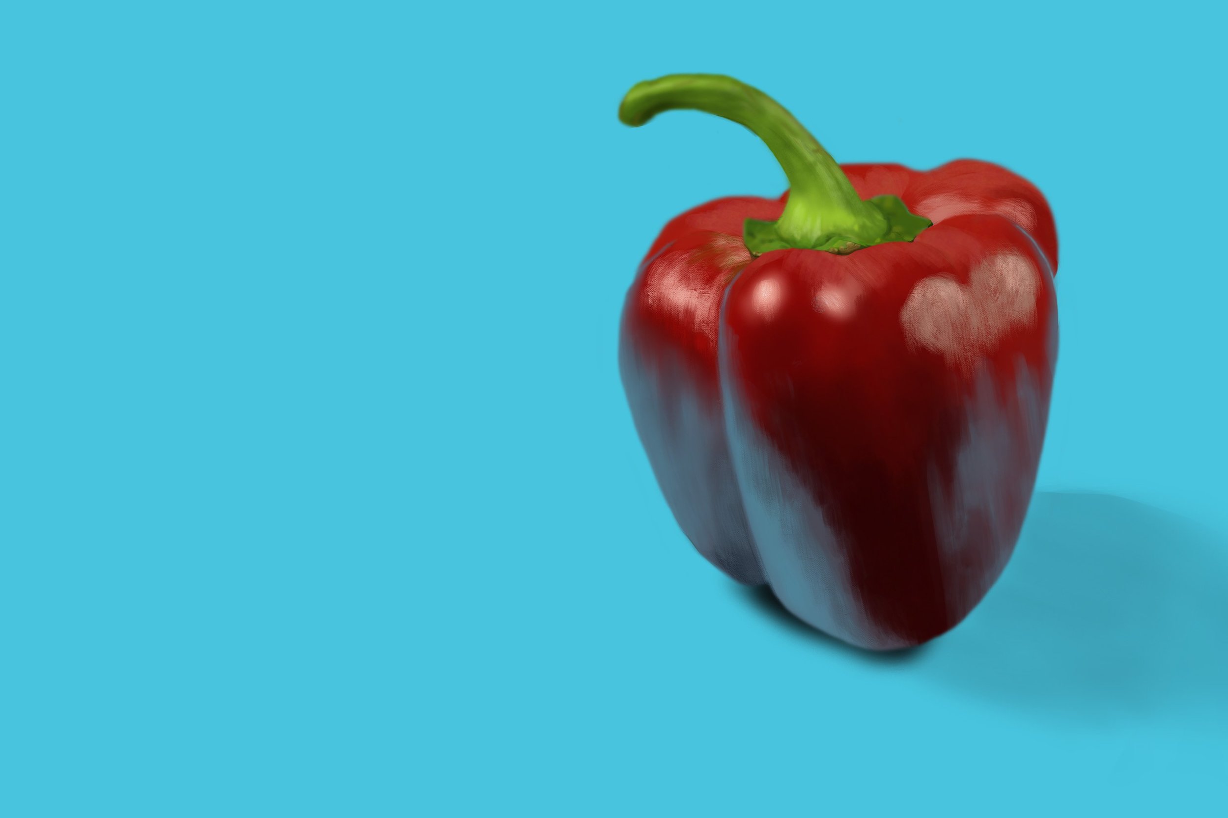 Exercice4-etude-photo1 buezala v3.jpg