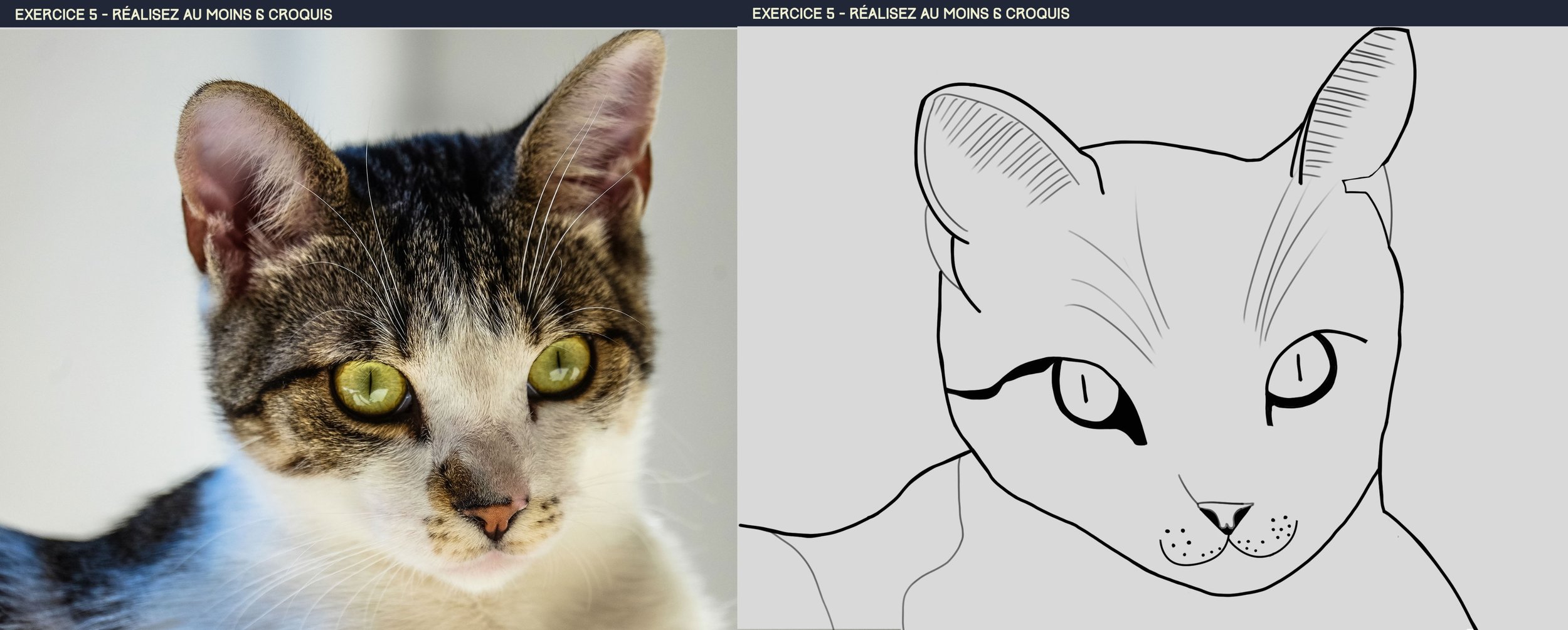 DPS-Prog-1-2-exercice5---chat-croquis.jpg