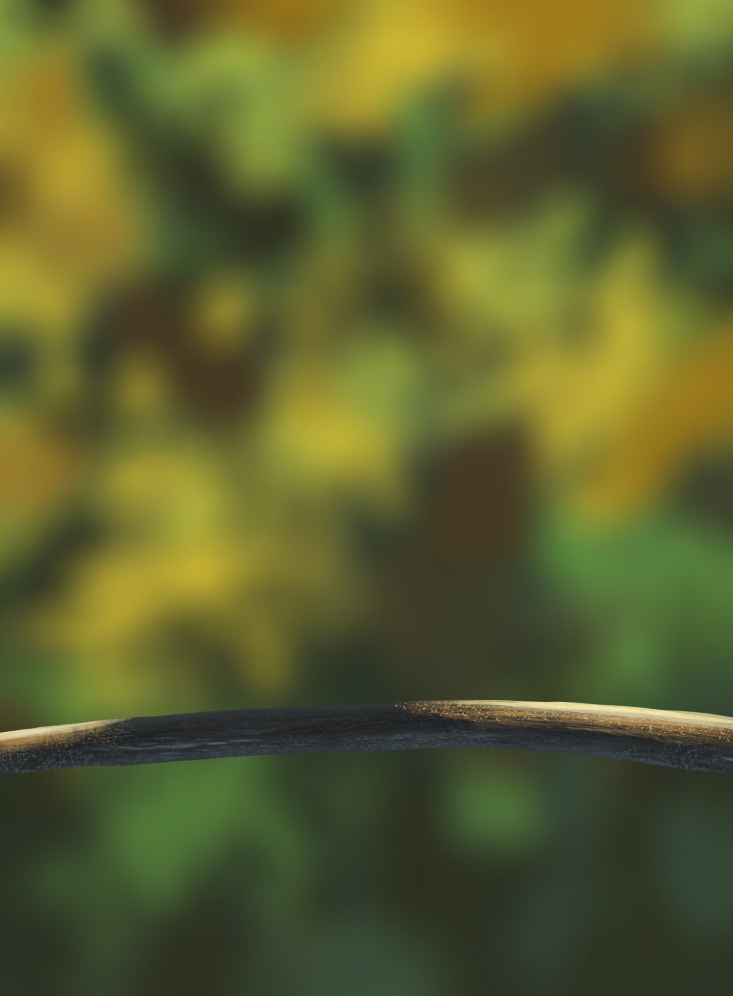 DPS Prog-1-1-Exercice5-Oiseau-Commencement.jpg