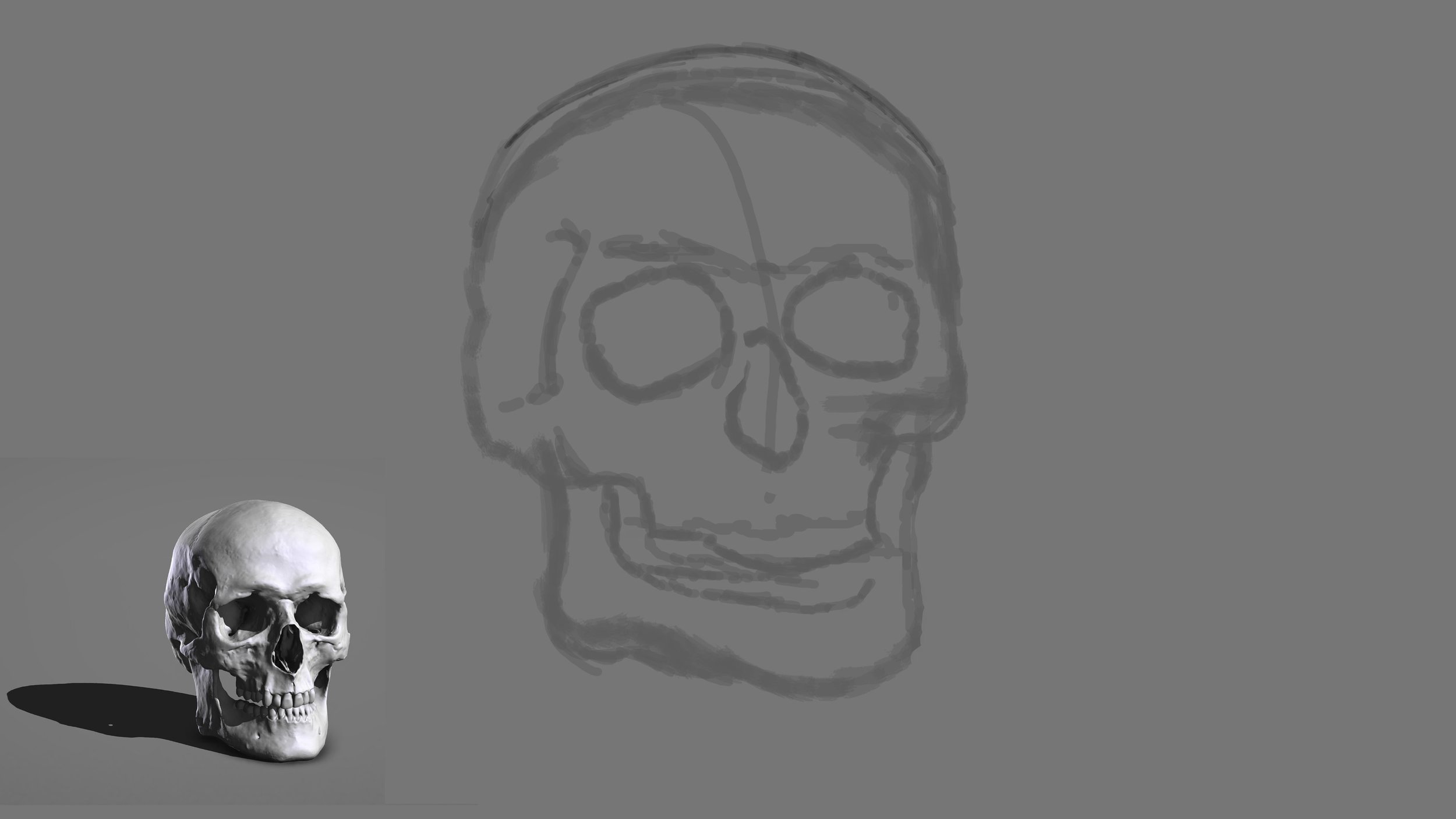 Croquis Crâne copie.jpg