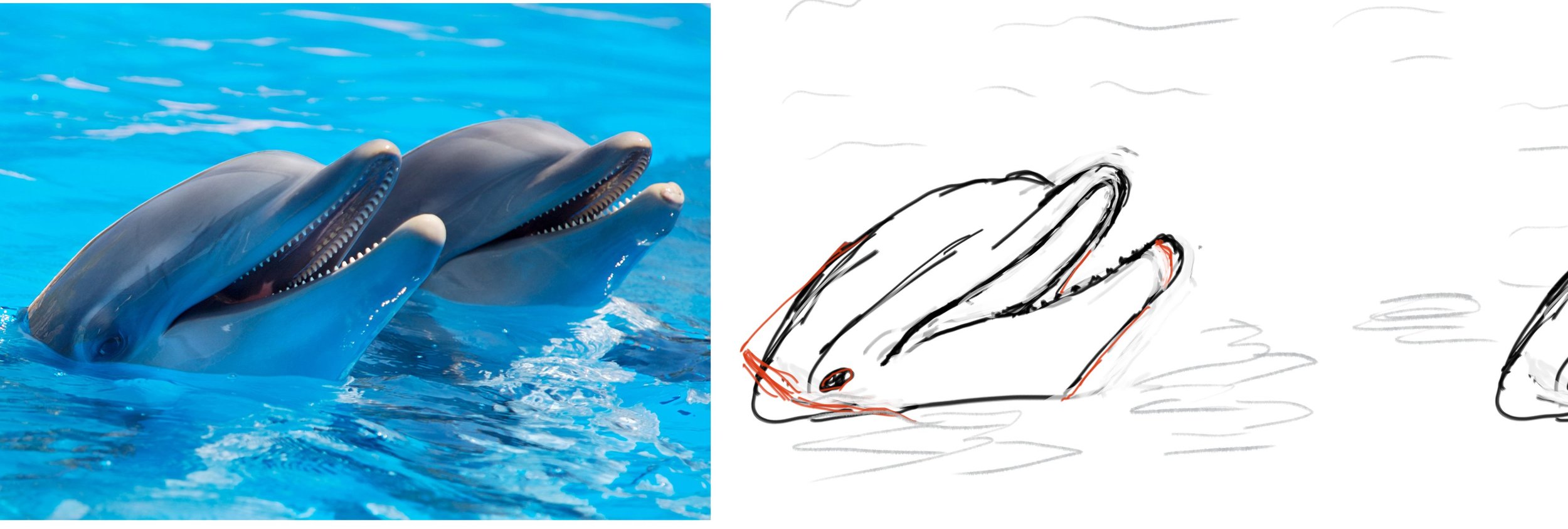 dauphins esquisse copie.jpg