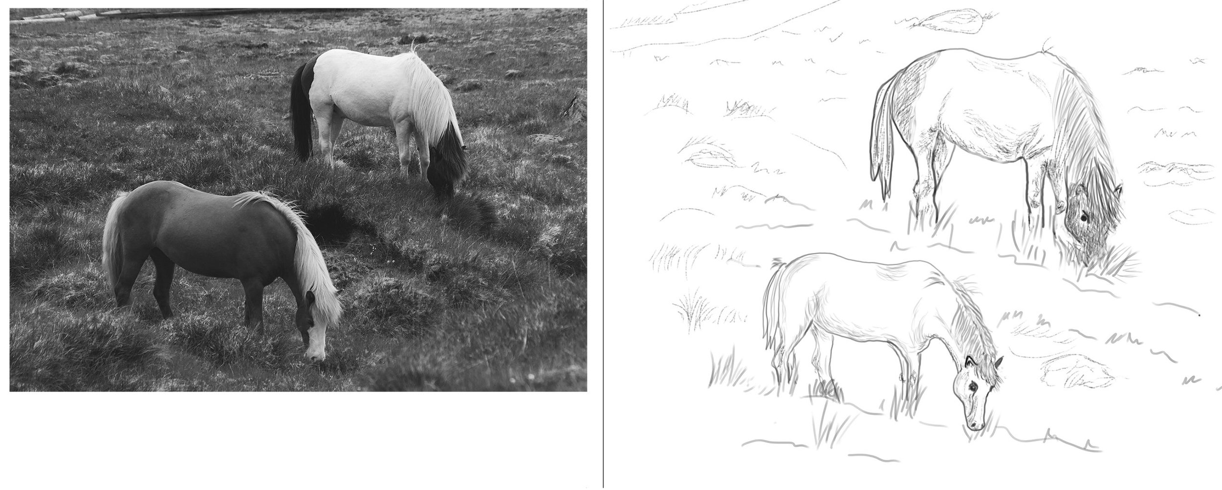 poneyss 16-1 copie 2.jpg