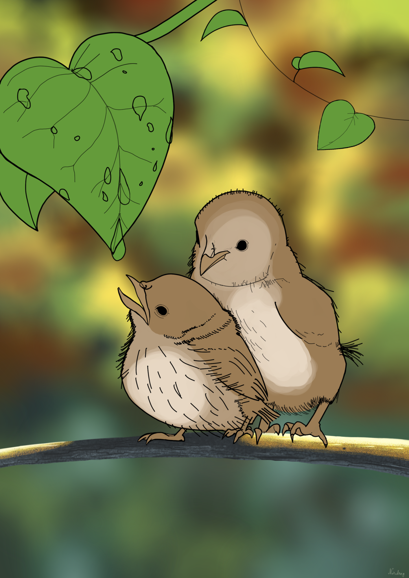 Croquis Oisillons.png