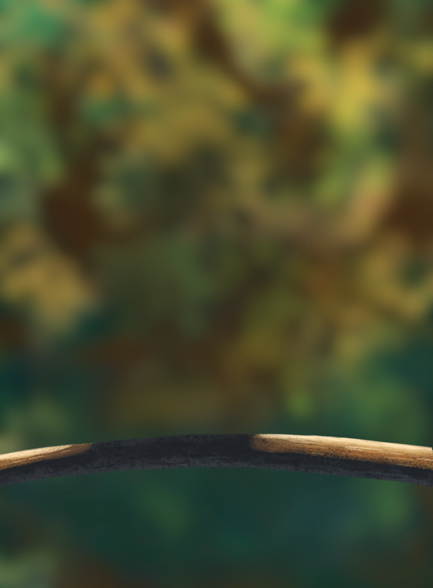 DPS Prog-1-1-Exercice5-Oiseau-Commencement.png