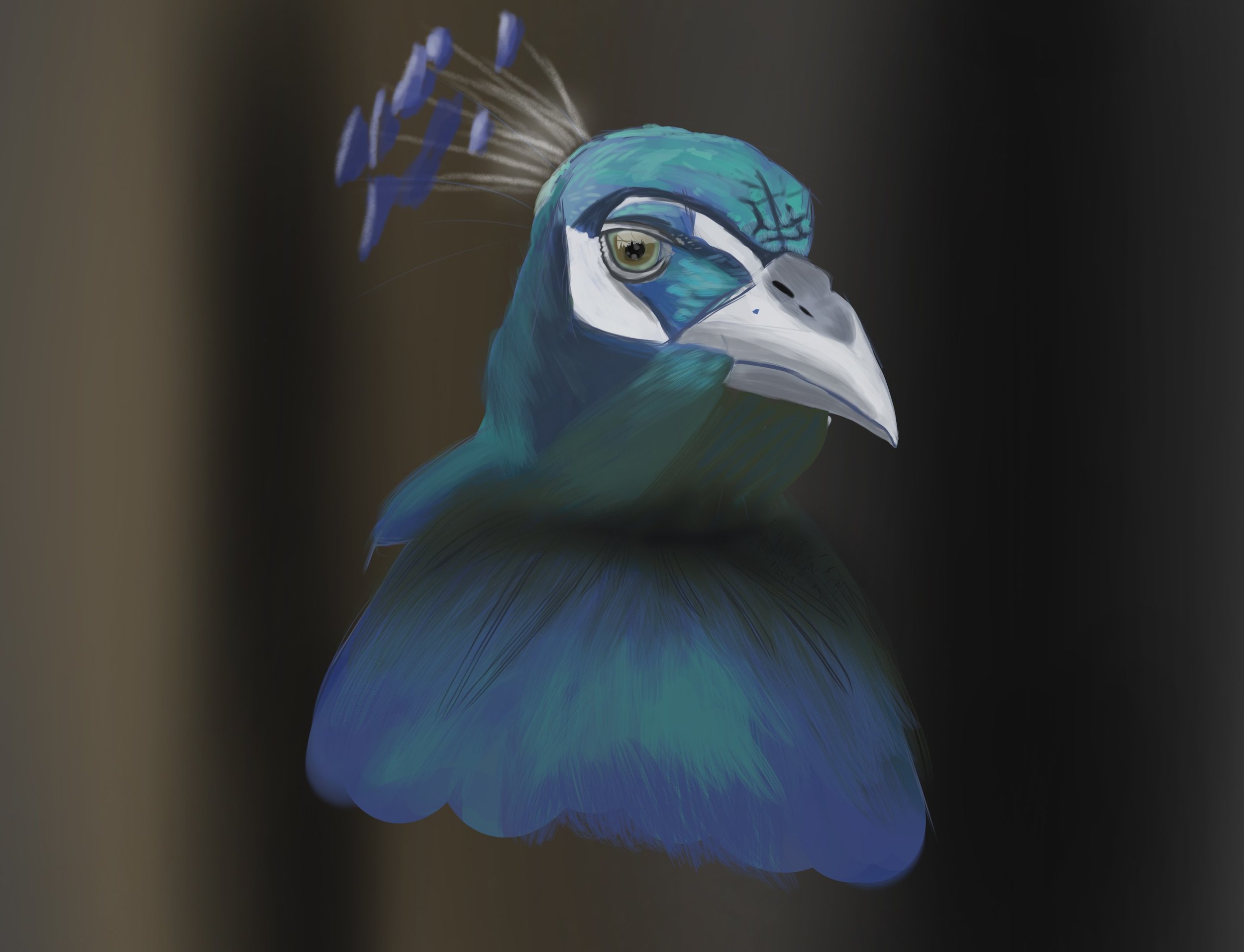 exos 2 dps partie 1 ch 0.jpg