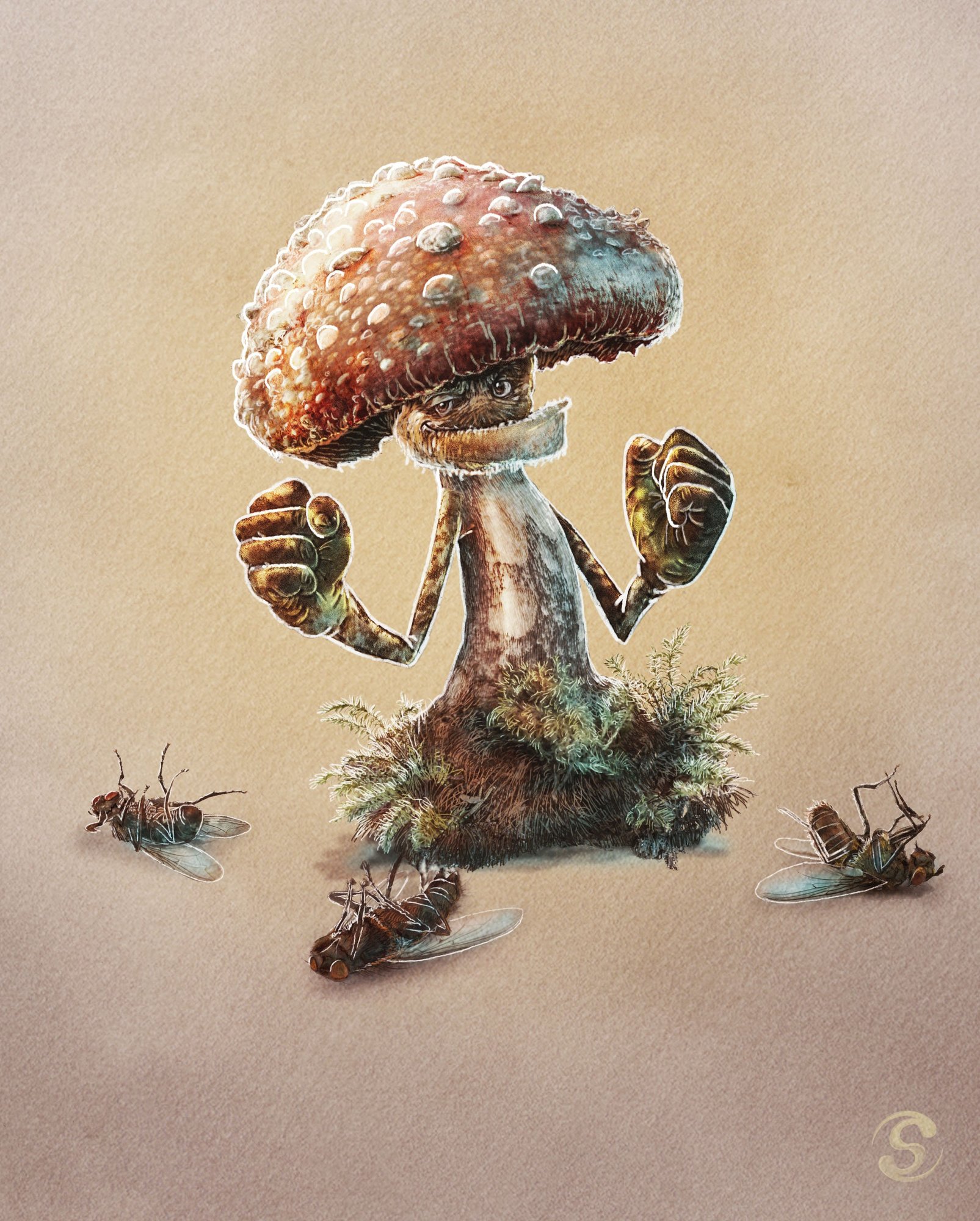 stefou-mushroom-fighter-2.thumb.jpg.06504f0b226c02889ef5986be9d80896.jpg