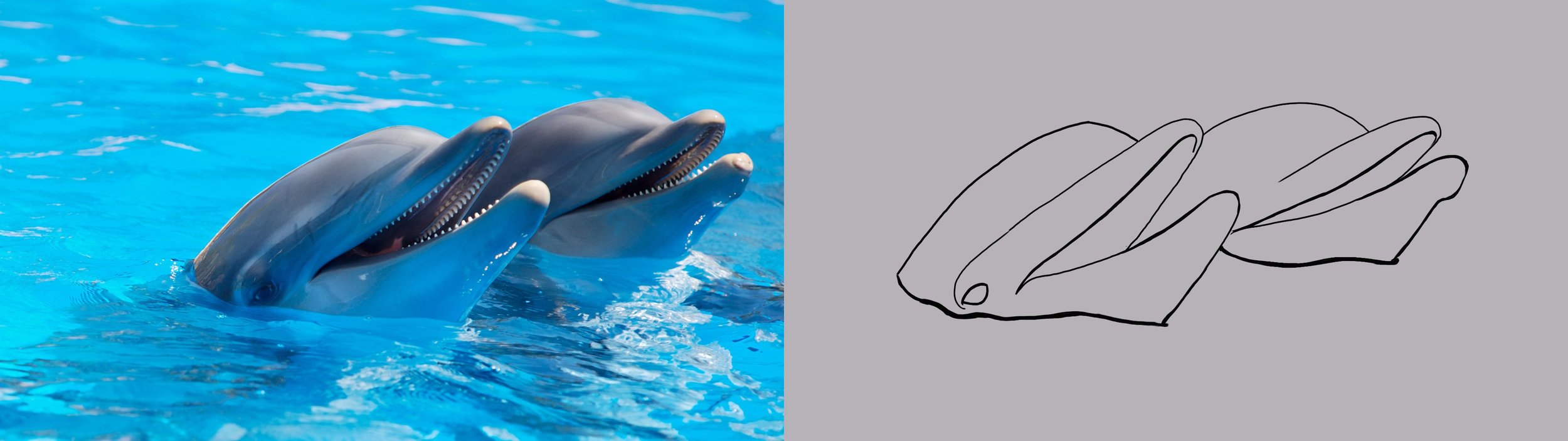 pexels-photo- 1-3.jpg