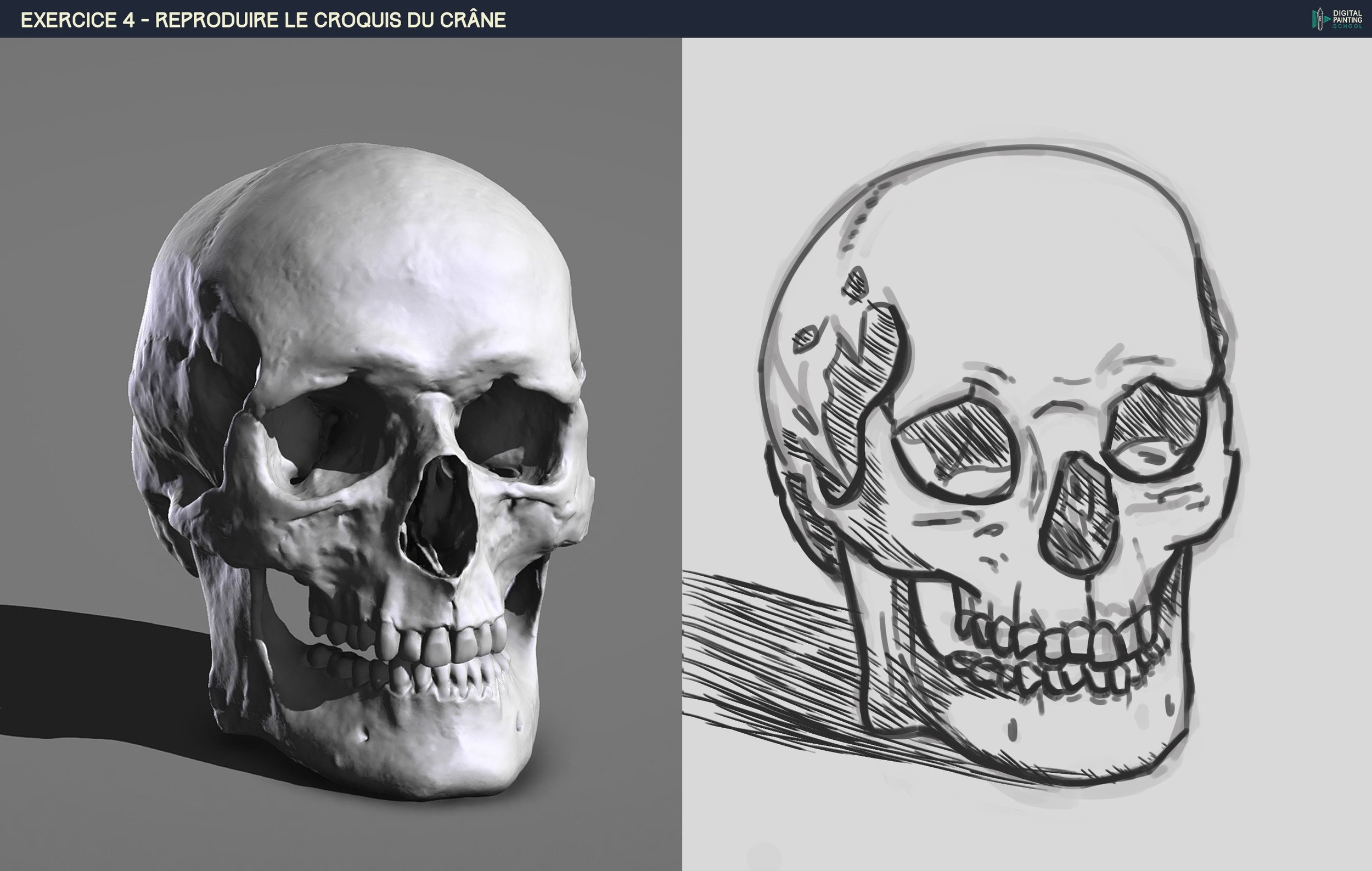 DPS-Prog-1-2-2-démo-crane-croquis copie 2.jpg