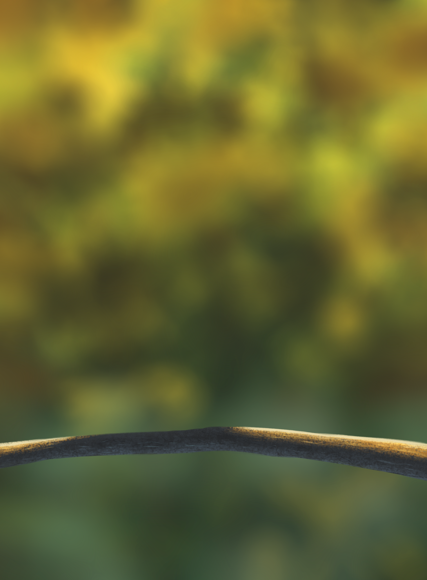 DPS Prog-1-1-Exercice5-Oiseau-Commencement.png