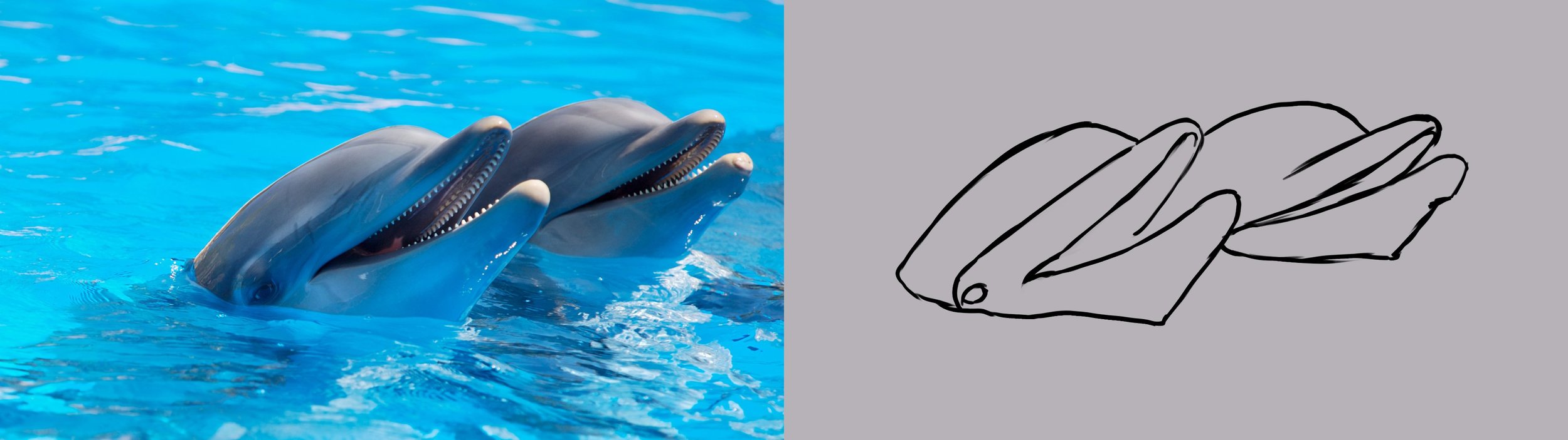 pexels-photo- 1-2.jpg