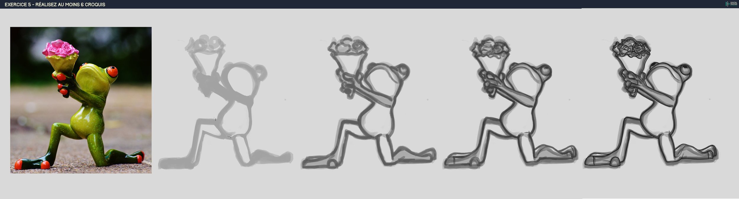 Croquis grenouille-4étapes.jpg