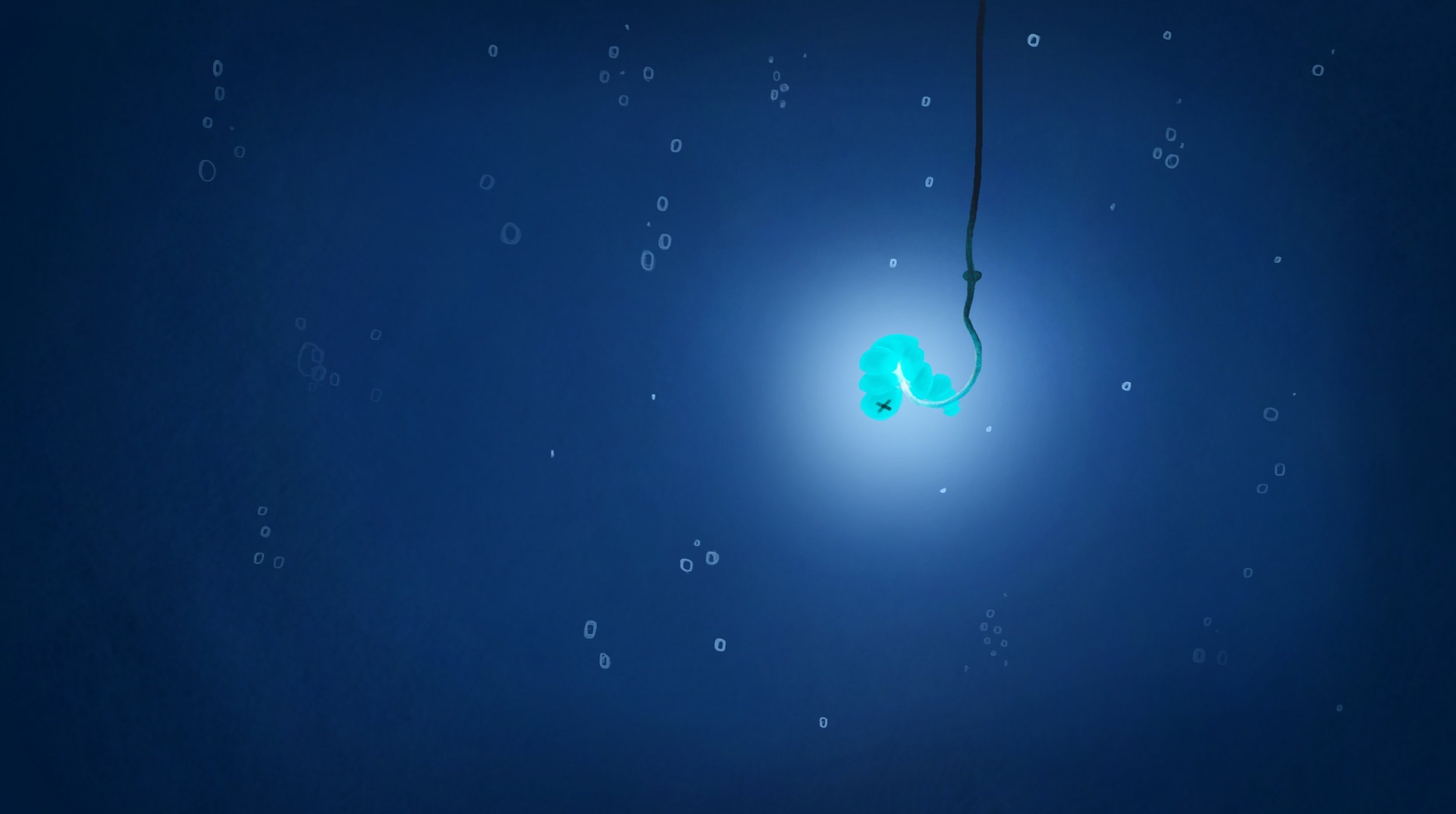 Exercice 1 chapitre 1.jpg