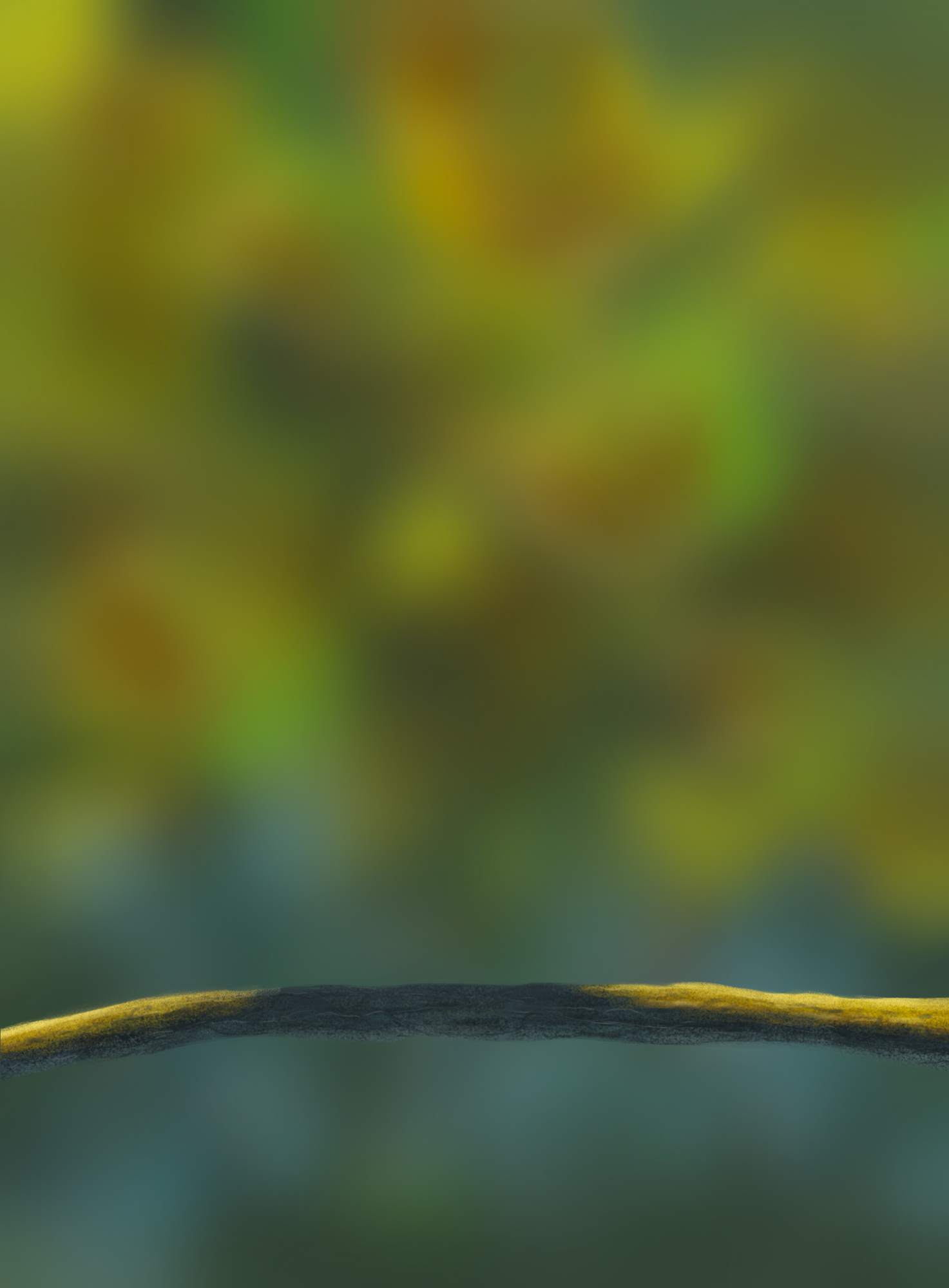 DPS Prog-1-1-Exercice5-Branche.png