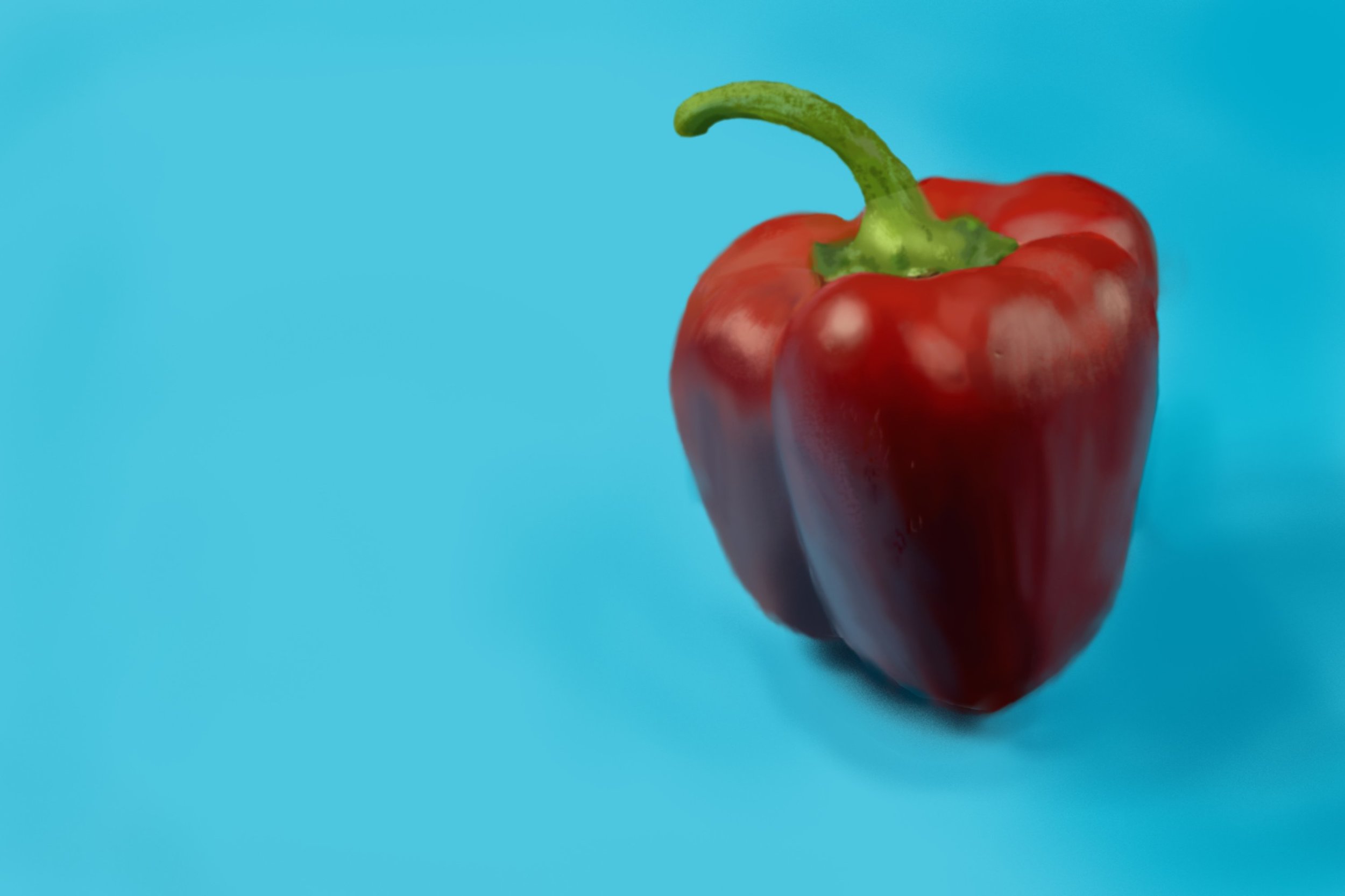 Exercice4-etude-photo1 GRISON.jpg